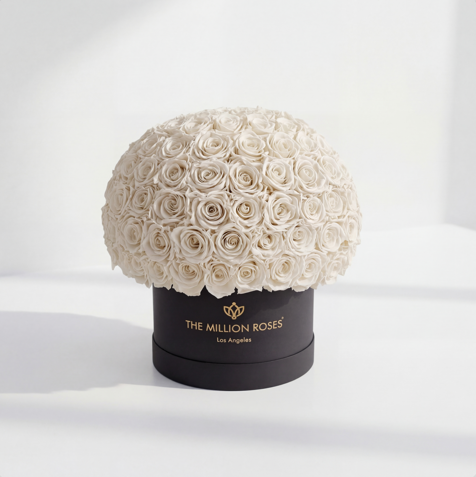 Supreme Black Superdome Box | White Roses