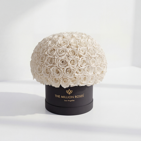 Supreme Black Superdome Box | White Roses