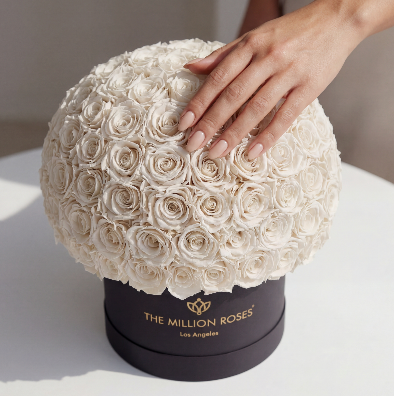 Supreme Black Superdome Box | White Roses