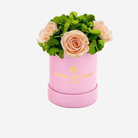 Basic Light Pink Suede Garden Box | Peach Roses