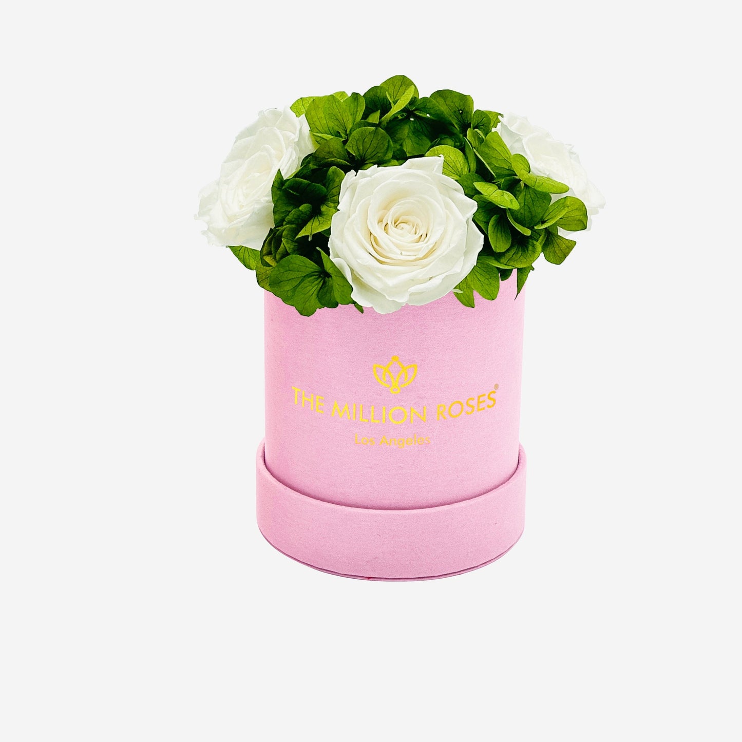 Basic Light Pink Suede Garden Box | White Roses