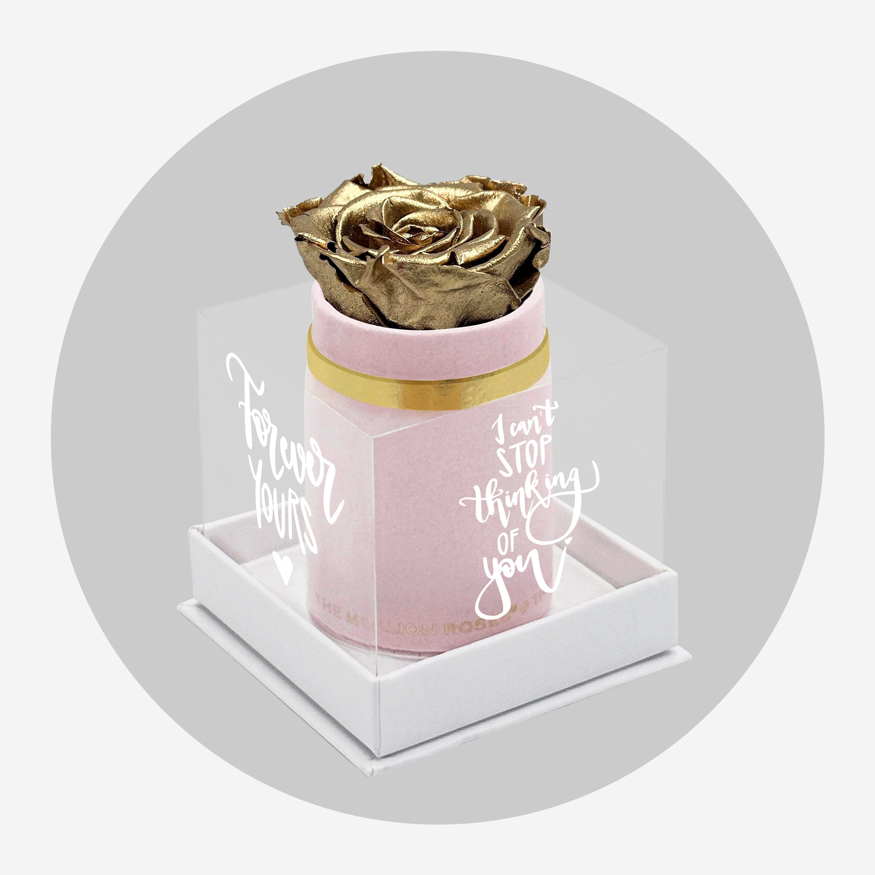 Single Light Pink Suede Box | Limited Love Note Edition | Gold Rose