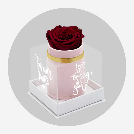 Single Light Pink Suede Box | Limited Love Note Edition | Red Rose