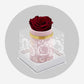 Single Light Pink Suede Box | Limited Mother's Love Edition | Red Rose