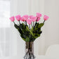 Trandafiri Long Stem | Trandafiri roz bombon
