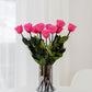 Trandafiri Long Stem | Trandafiri roz aprins