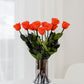 Růže s dlouhým stonkem | Oranžové růže