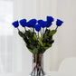 Langstielrosen | Blaue Rosen