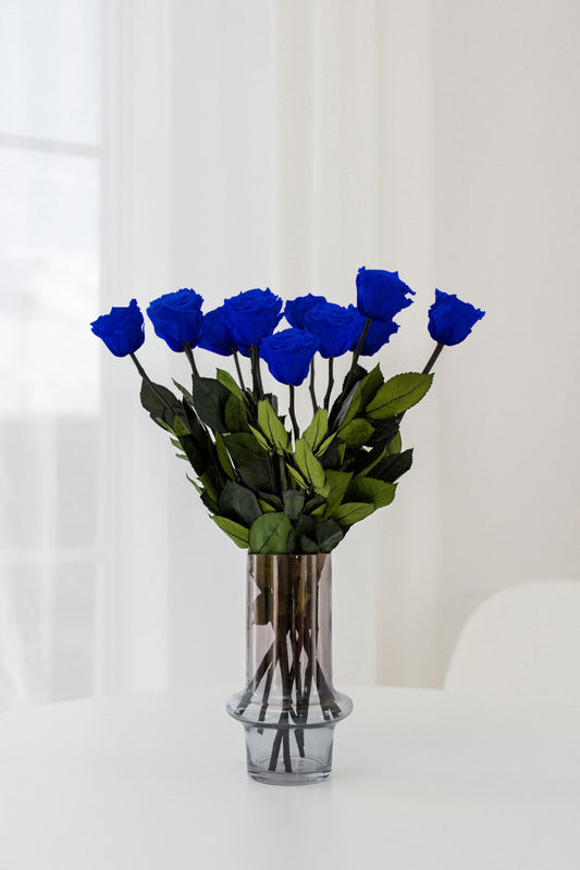 Langstielrosen | Blaue Rosen
