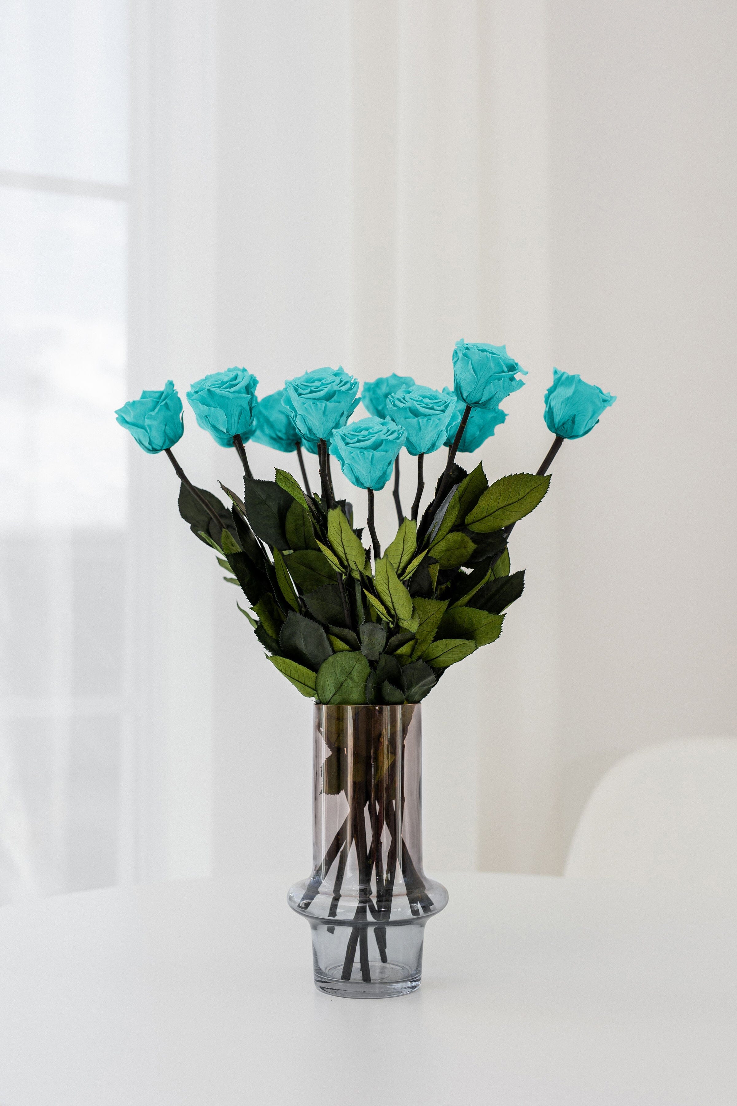 Roses à longue tige | Roses Bleu Turquoise