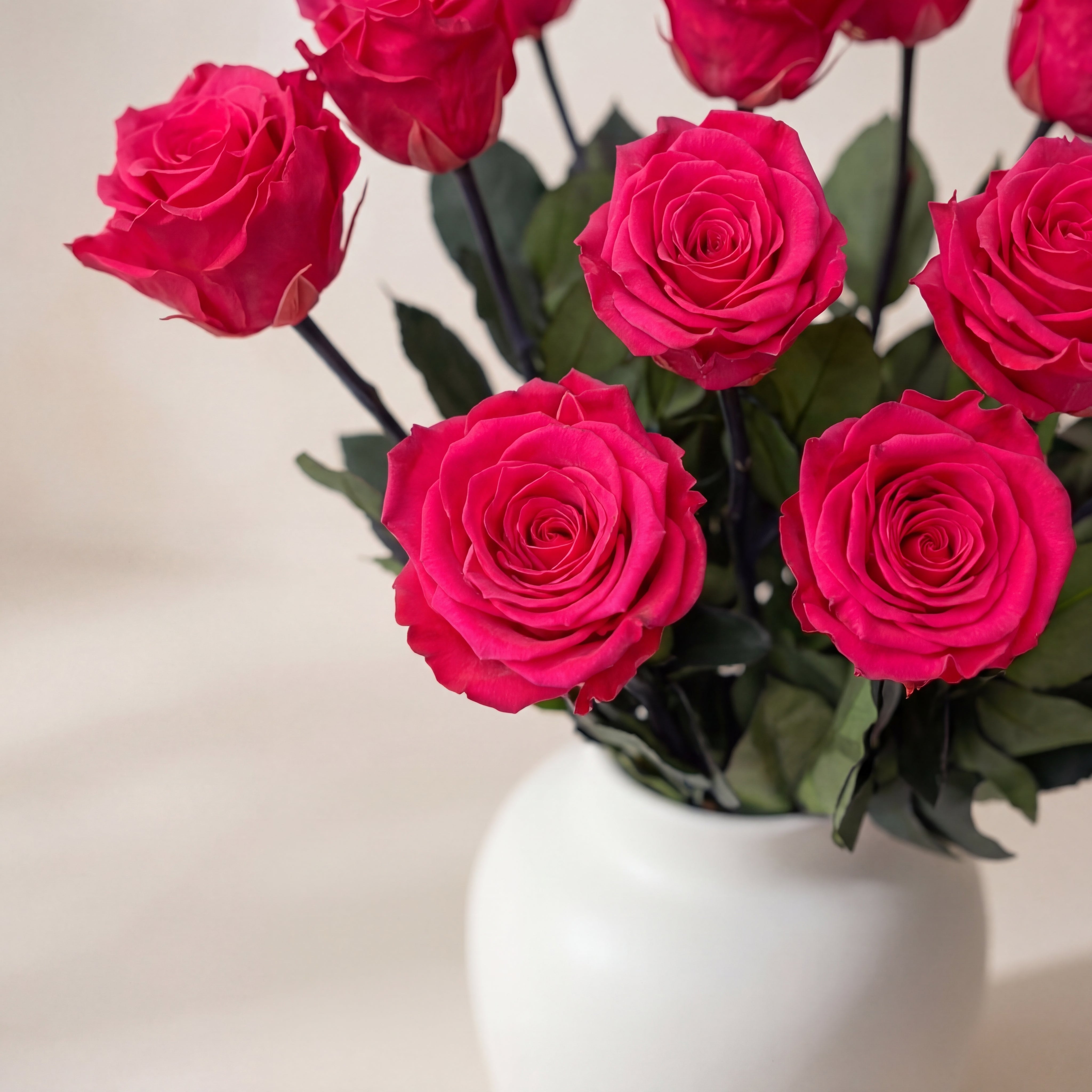 Long Stem Roses | Hot Pink Roses