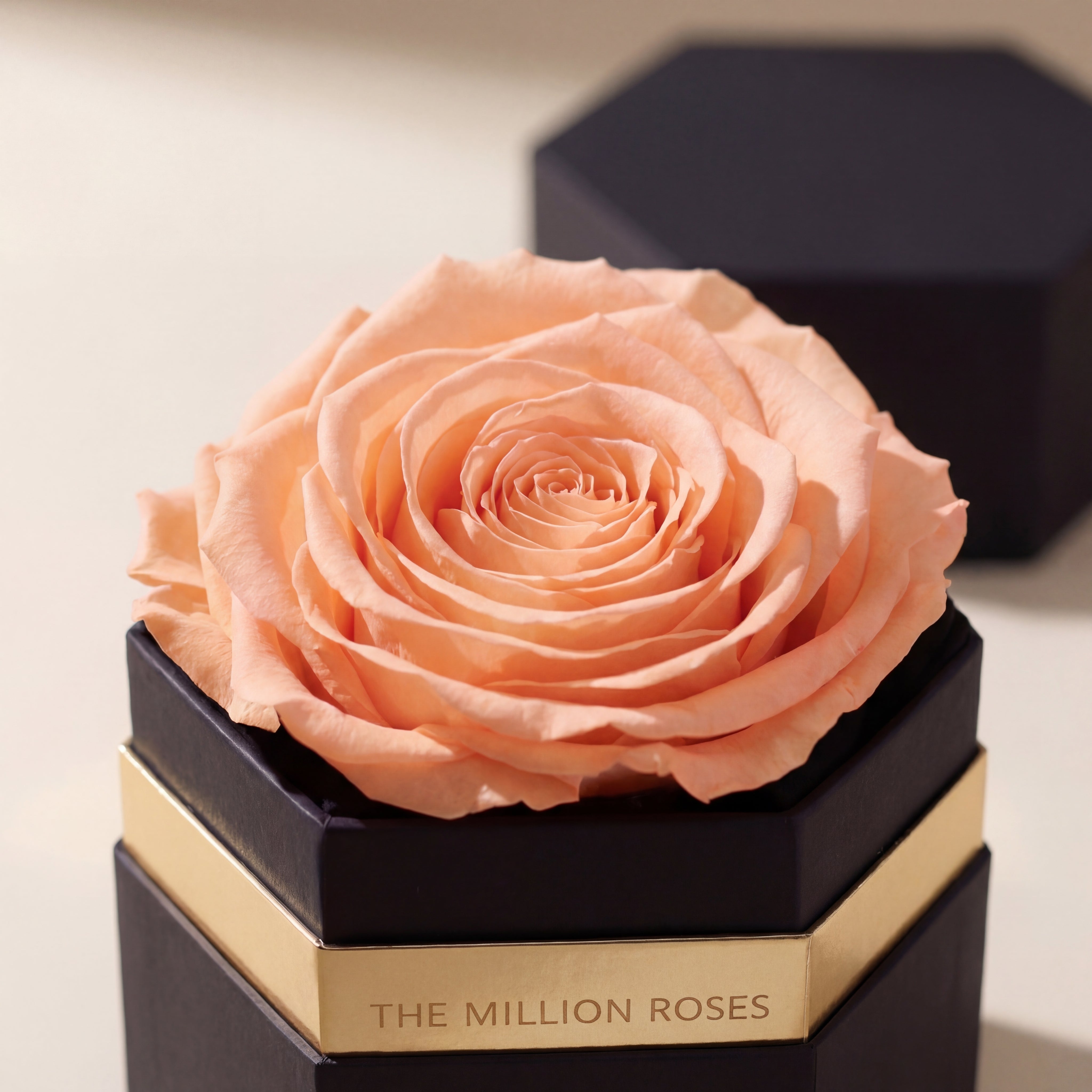 One in a Million™ Black Hexagon Box | Peach Rose