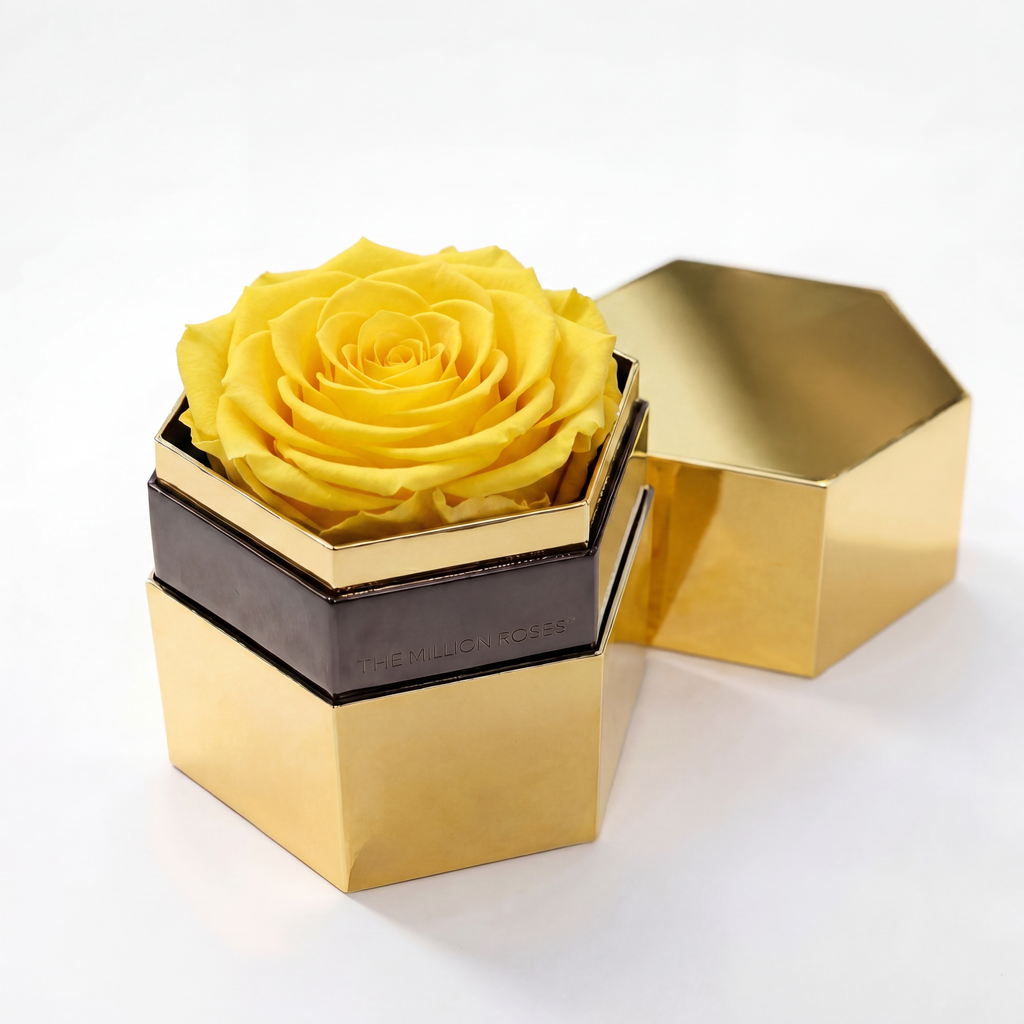 MAMAMOO Special Jewelry Box ローズゴールド ニュース ｜ MAMAMOO JAPAN OFFICIAL FANCLUB「MOOMOO JAPAN」