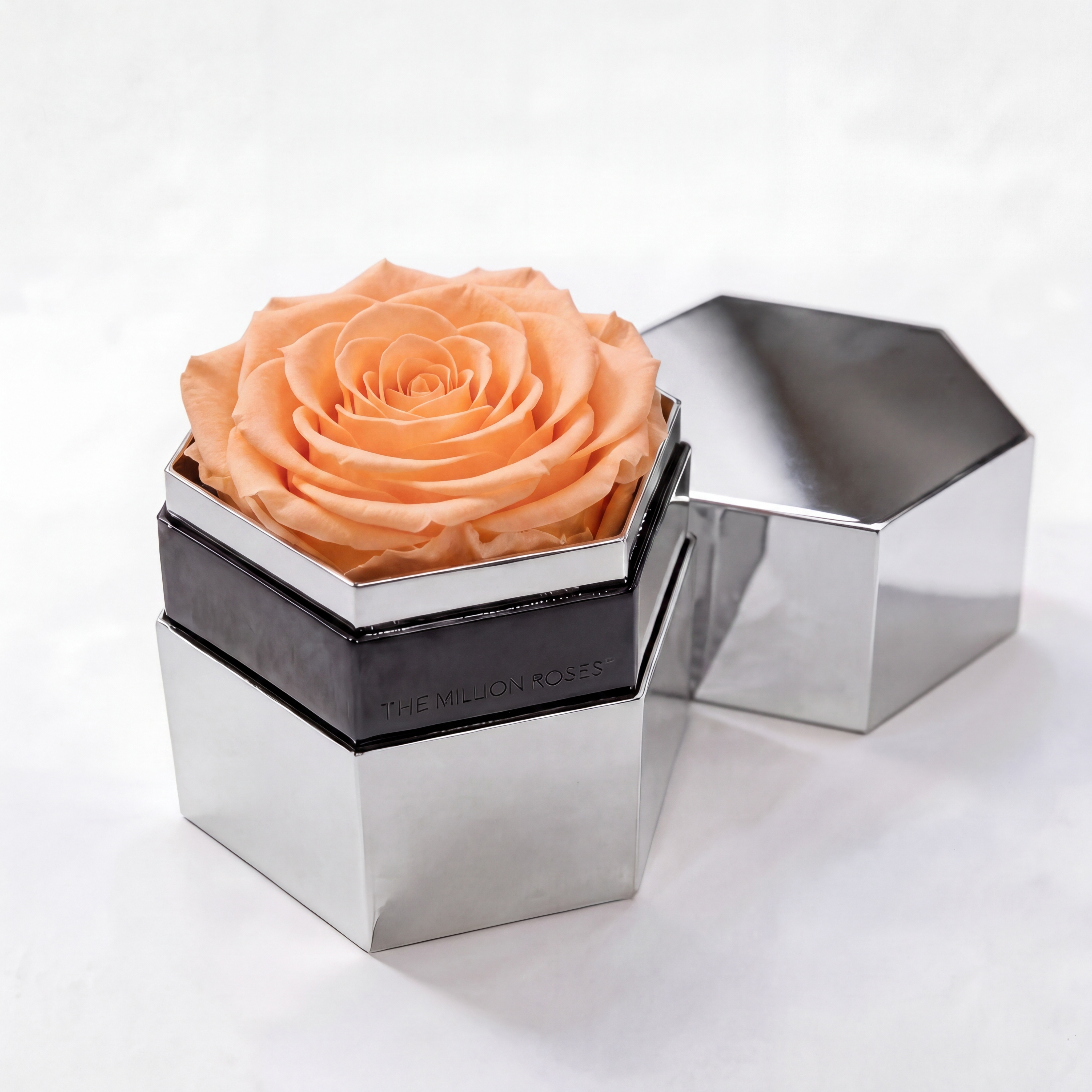 One in a Million™ Mirror Silver Hexagon Box | Peach Rose
