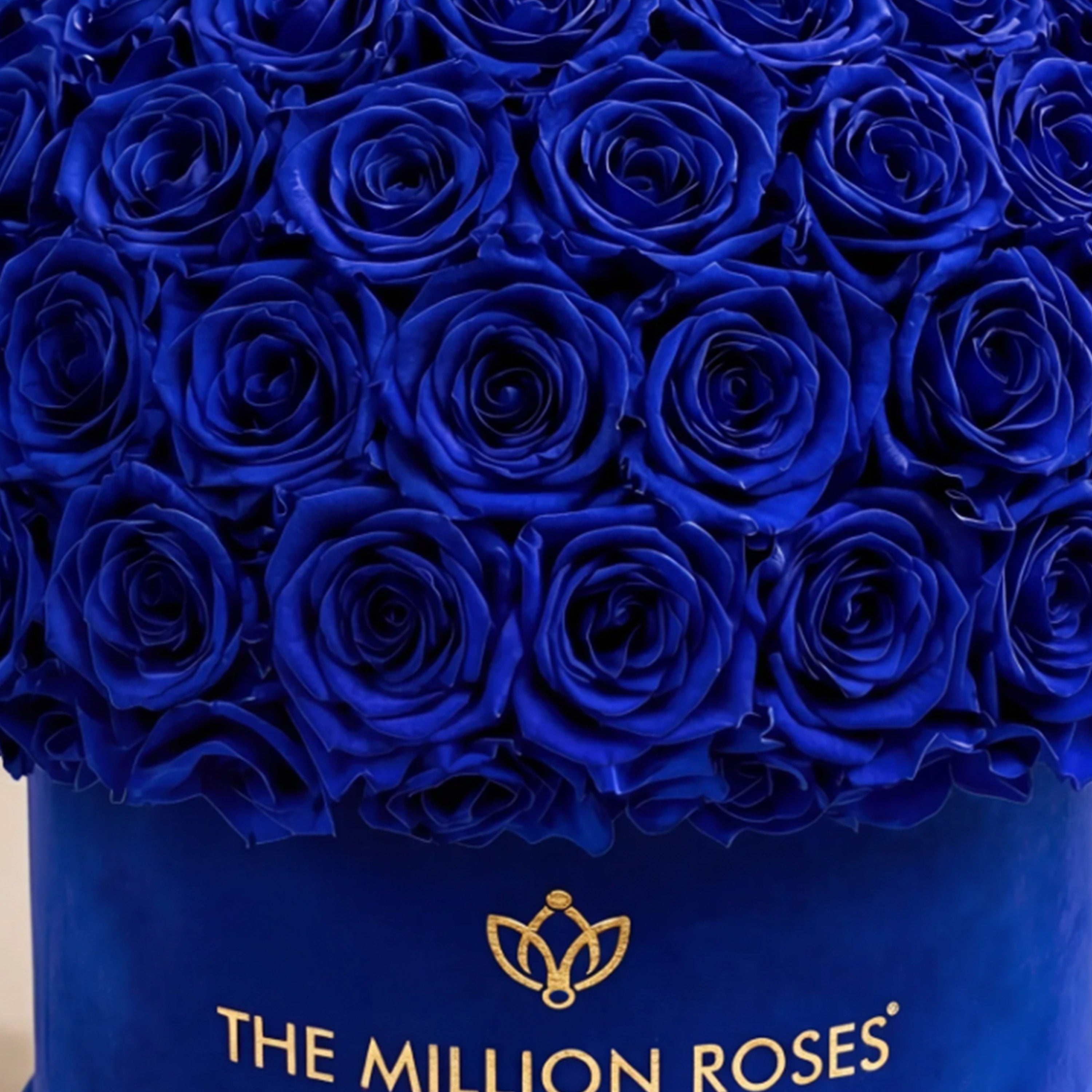 Supreme Royal Blue Suede Superdome Box | Royal Blue Roses