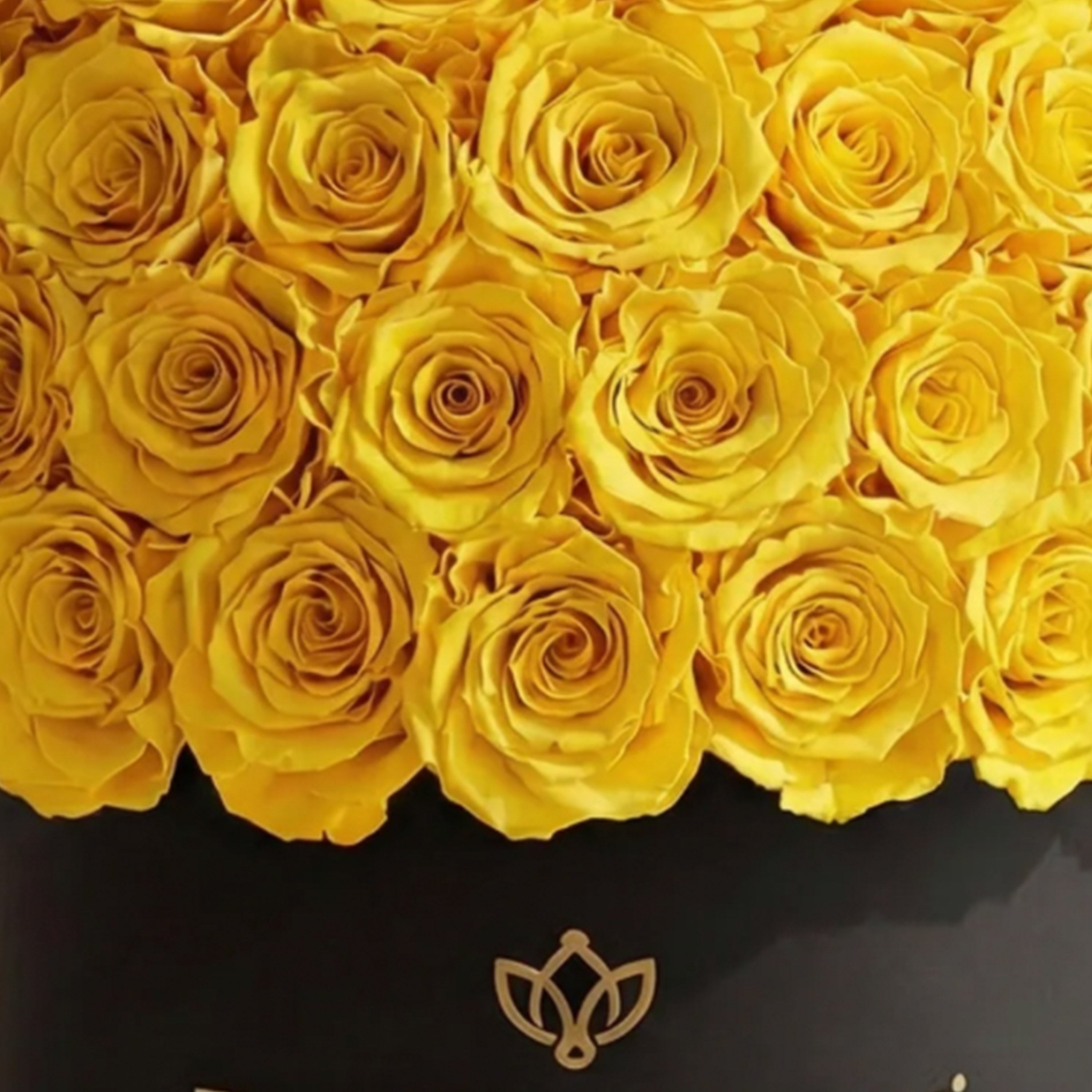 Supreme Black Superdome Box | Yellow Roses