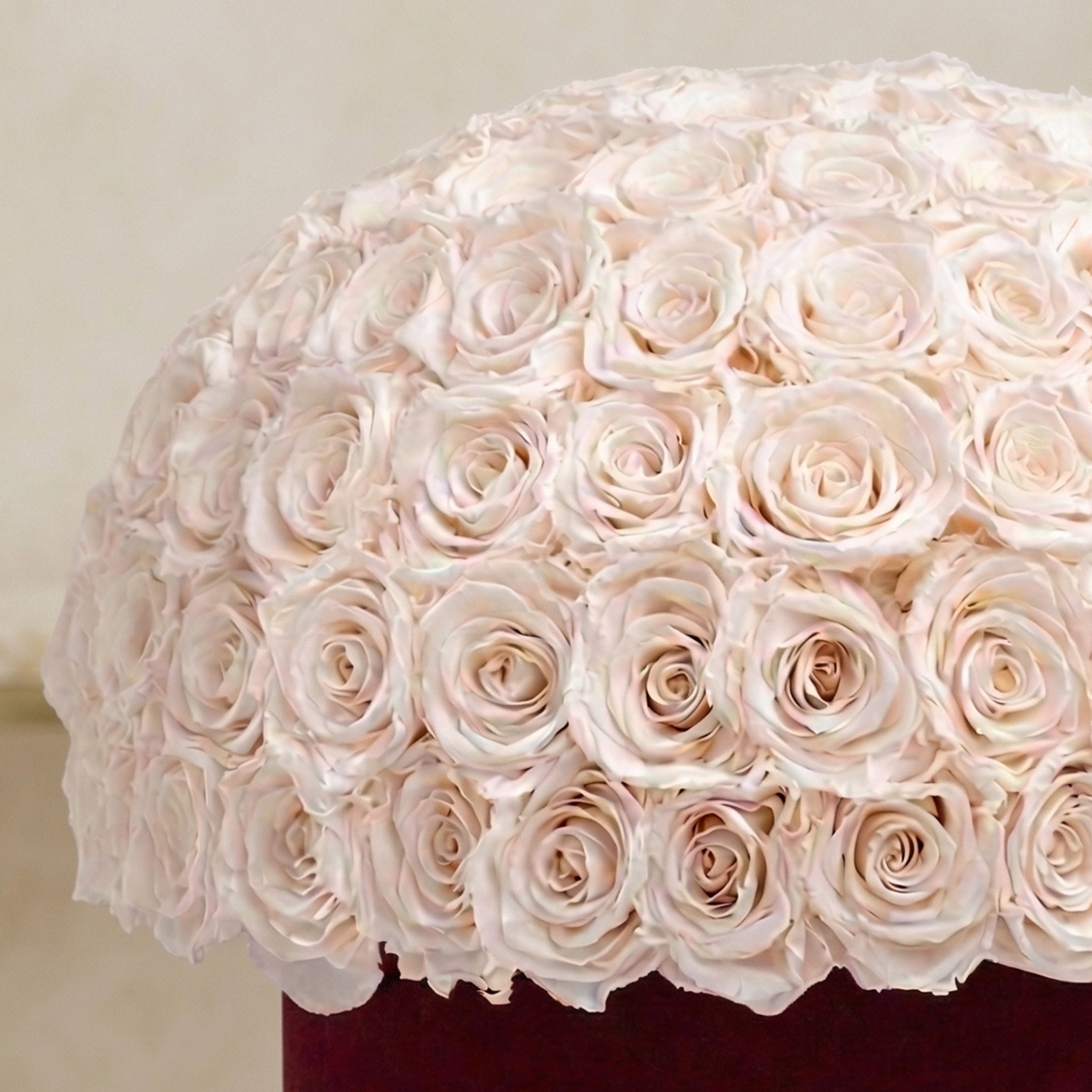 Supreme Bordeaux Suede Superdome Box | White Roses