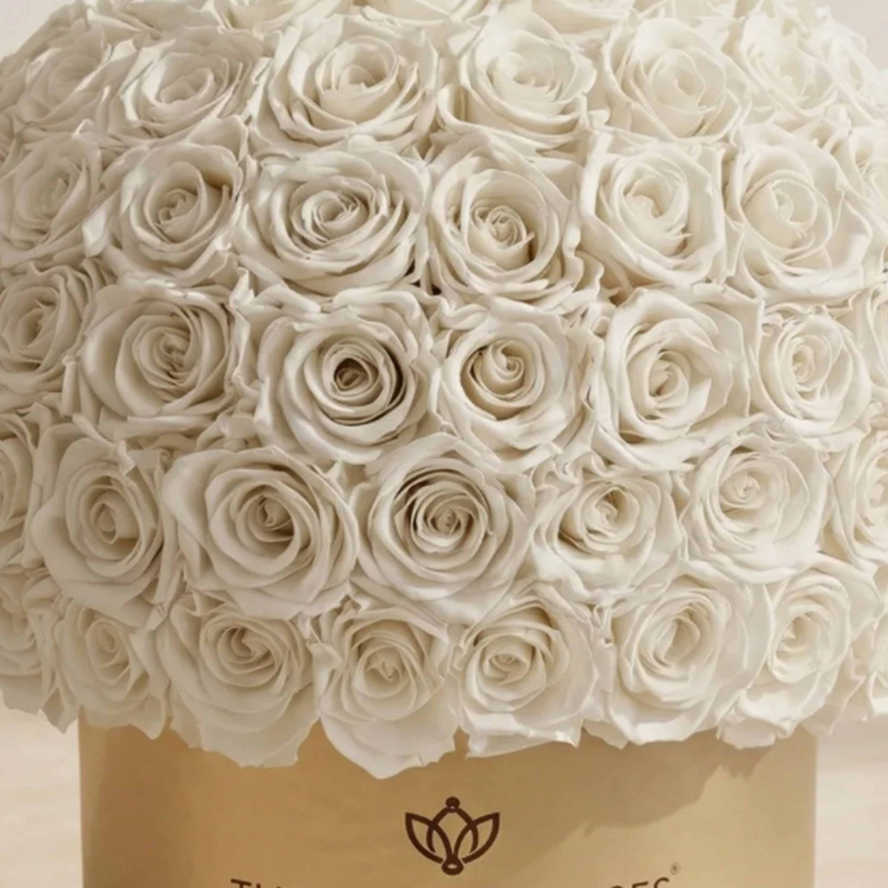Supreme Gold Superdome Box | White Roses