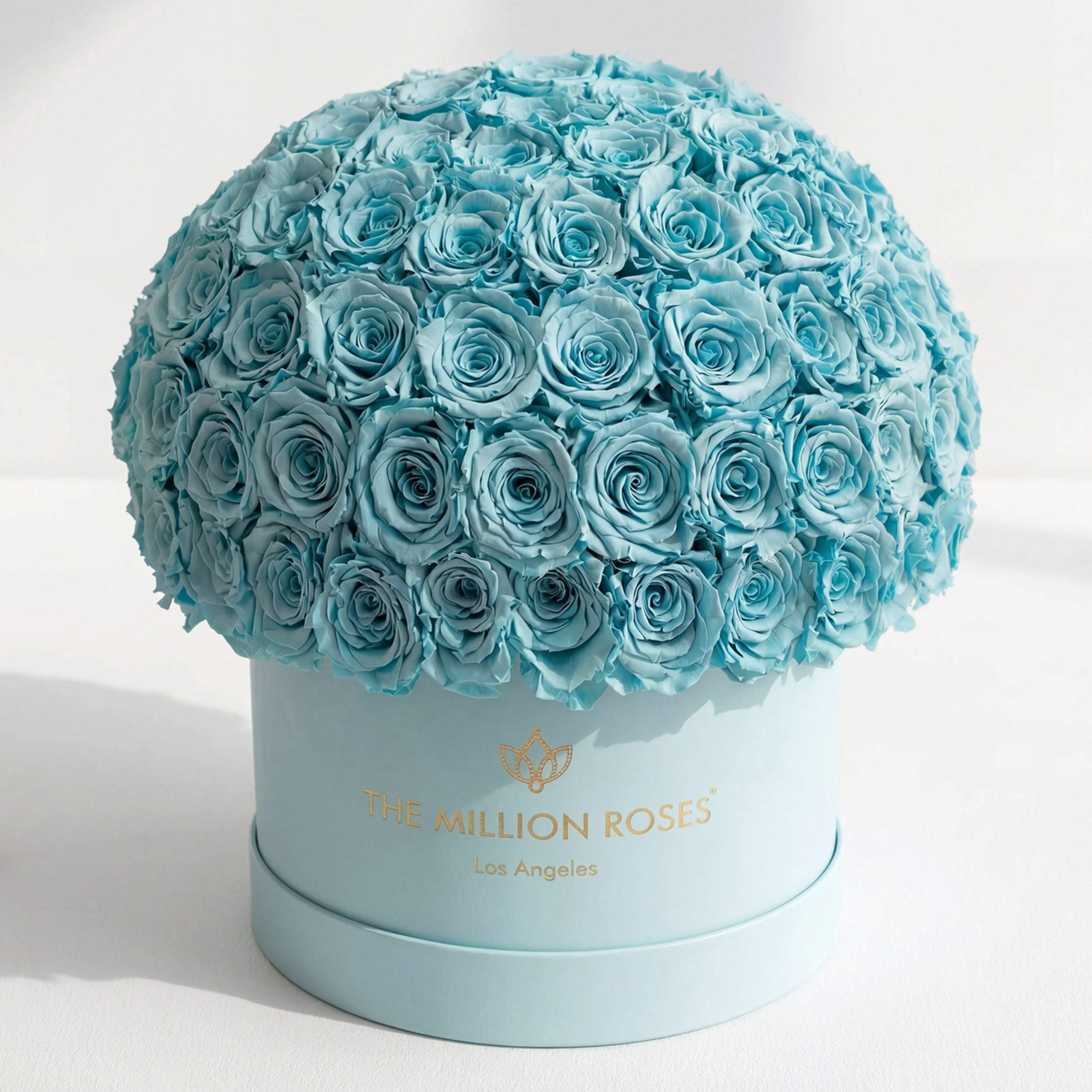 Supreme Mint Green Suede Superdome Box | Turquoise Blue Roses