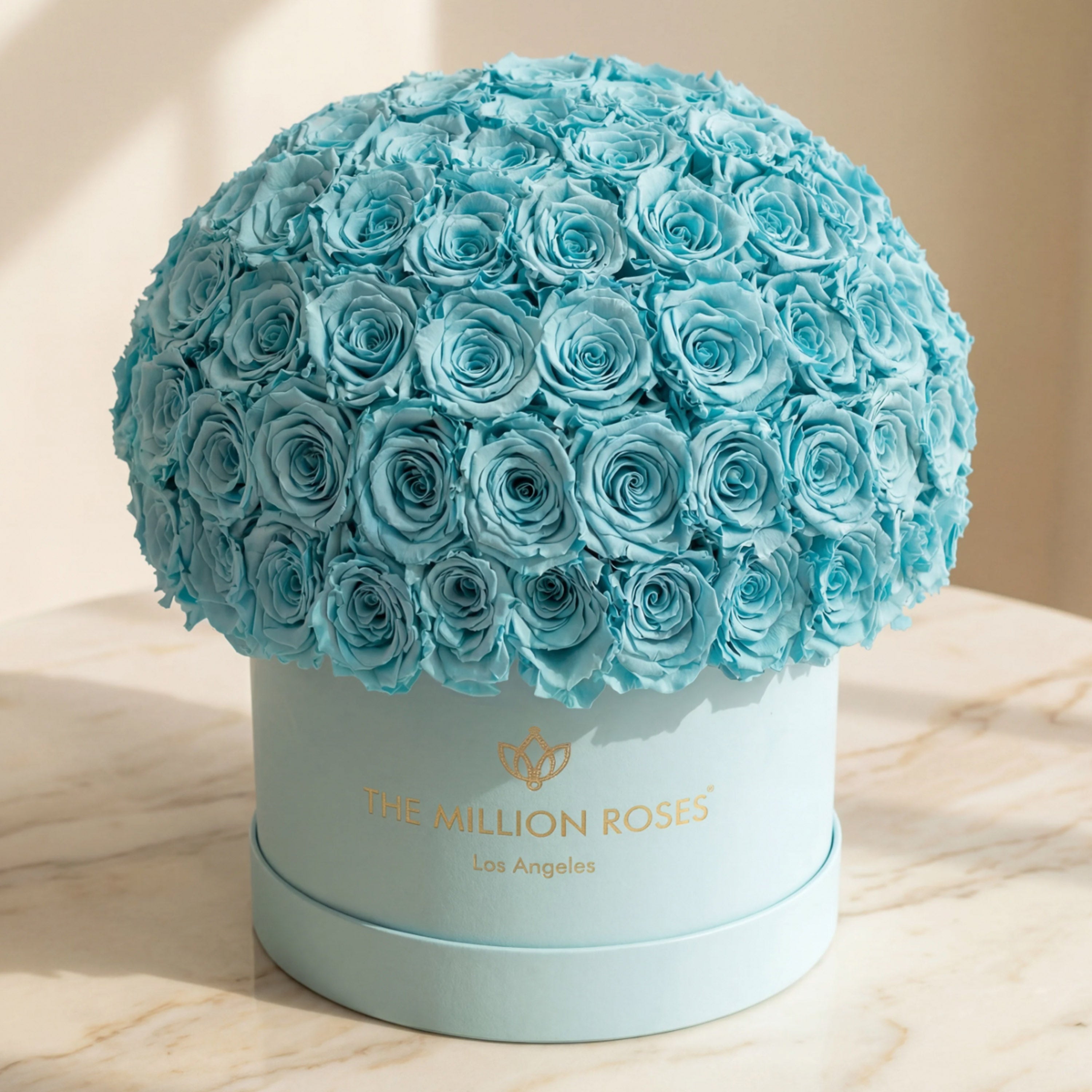 Supreme Mint Green Suede Superdome Box | Turquoise Blue Roses