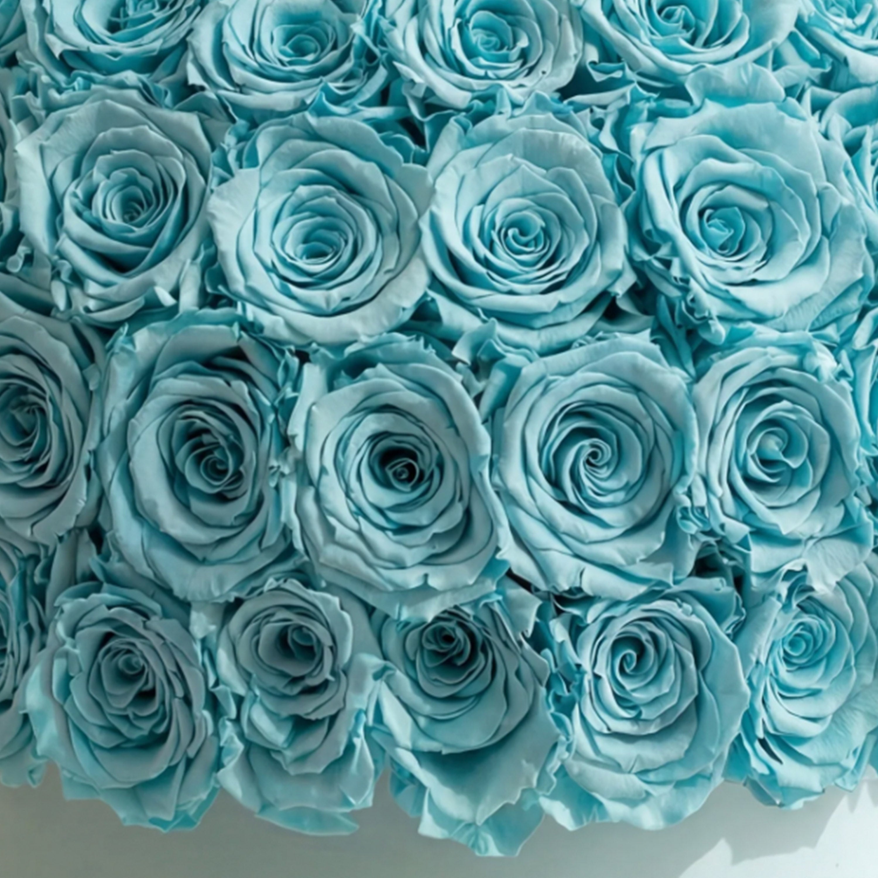 Supreme Mint Green Suede Superdome Box | Turquoise Blue Roses