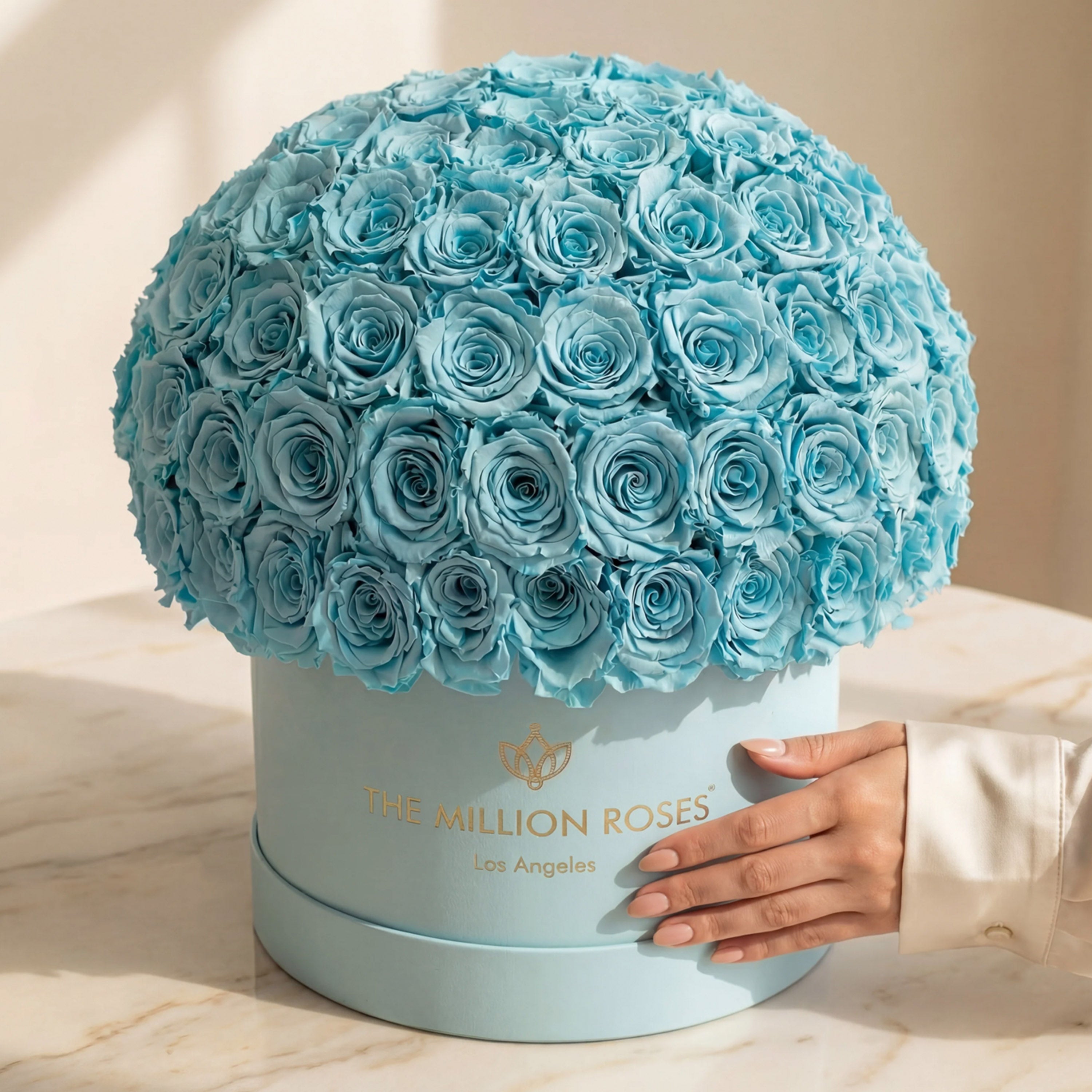 Supreme Mint Green Suede Superdome Box | Turquoise Blue Roses