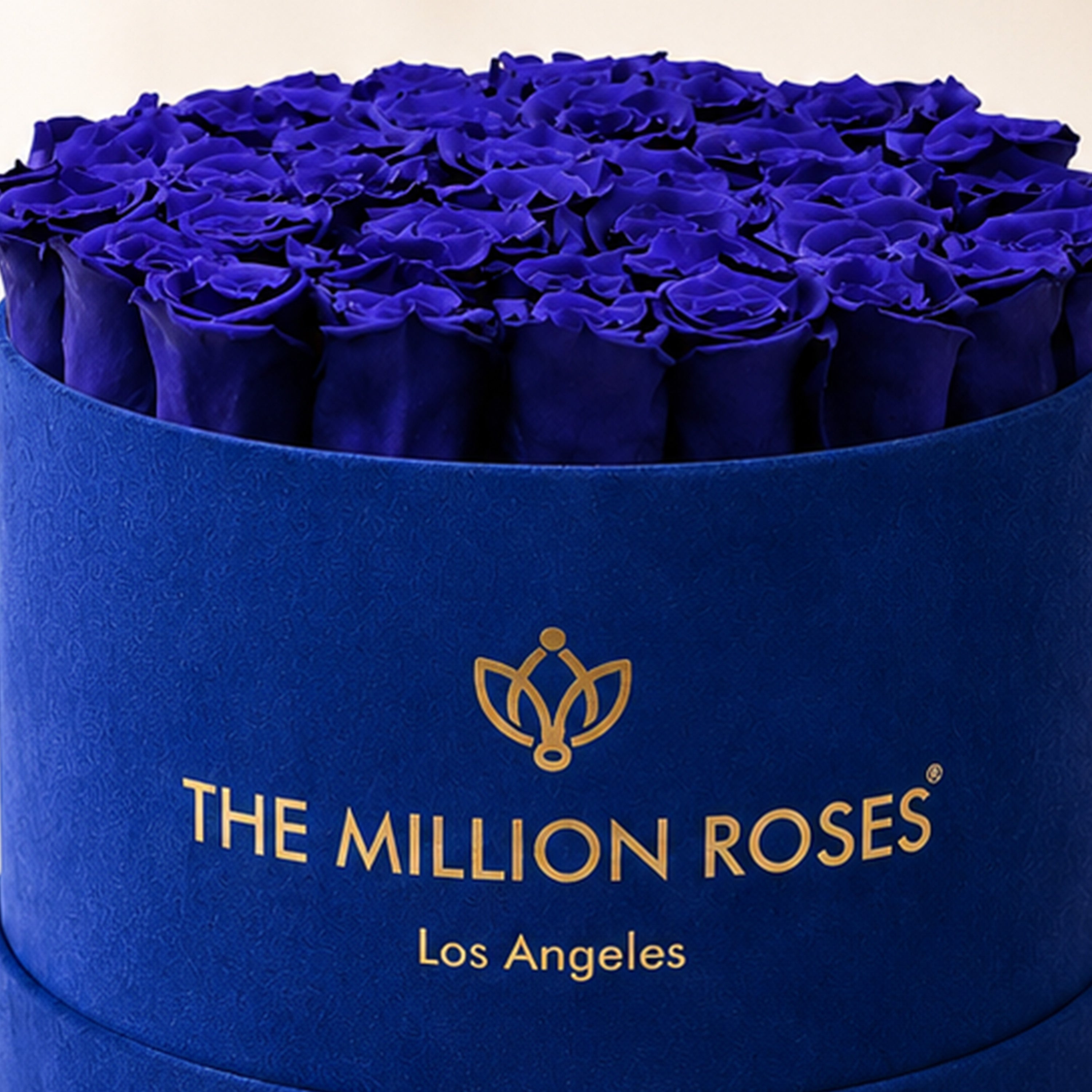 Supreme Royal Blue Suede Box | Royal Blue Roses