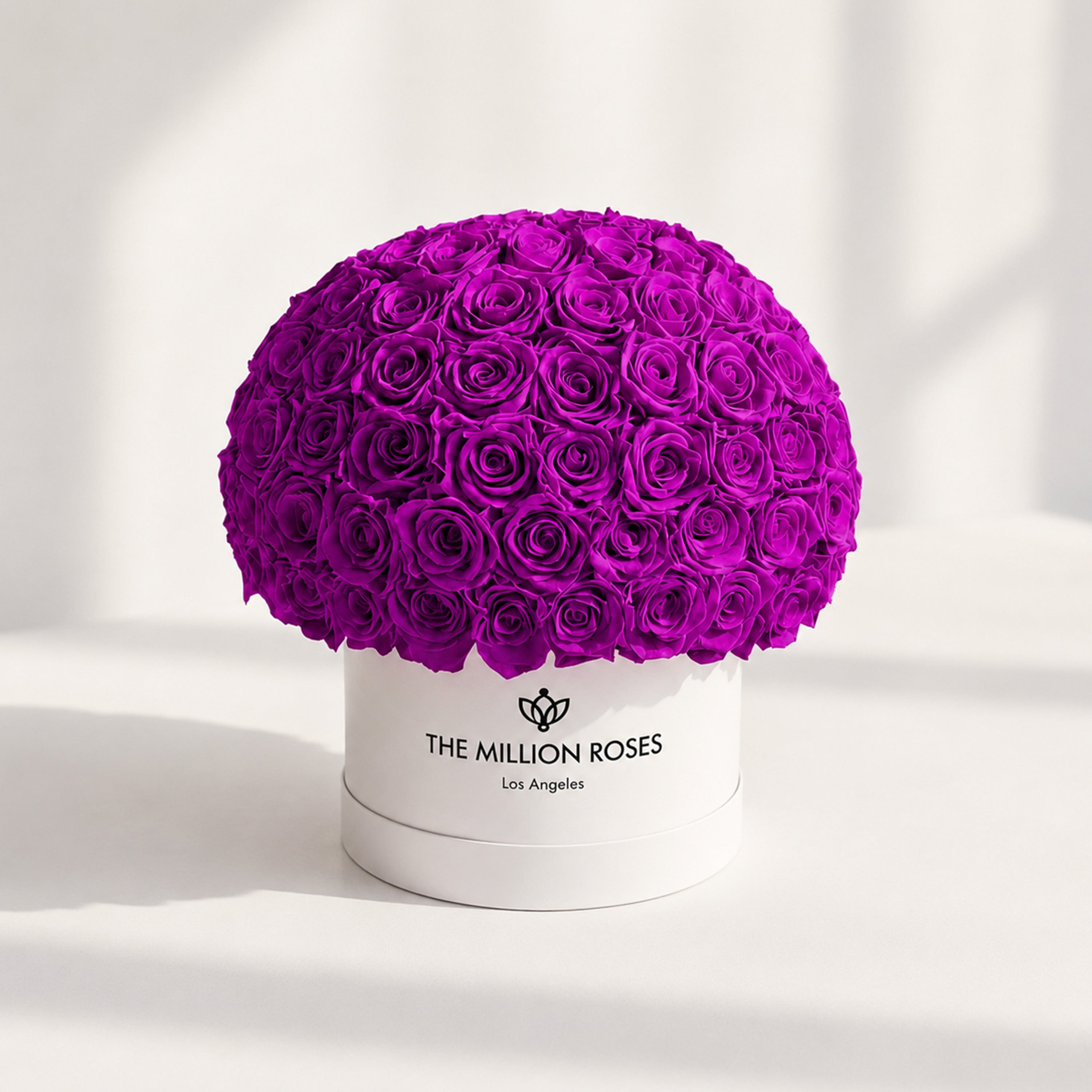 Supreme White Superdome Box | Bright Purple Roses