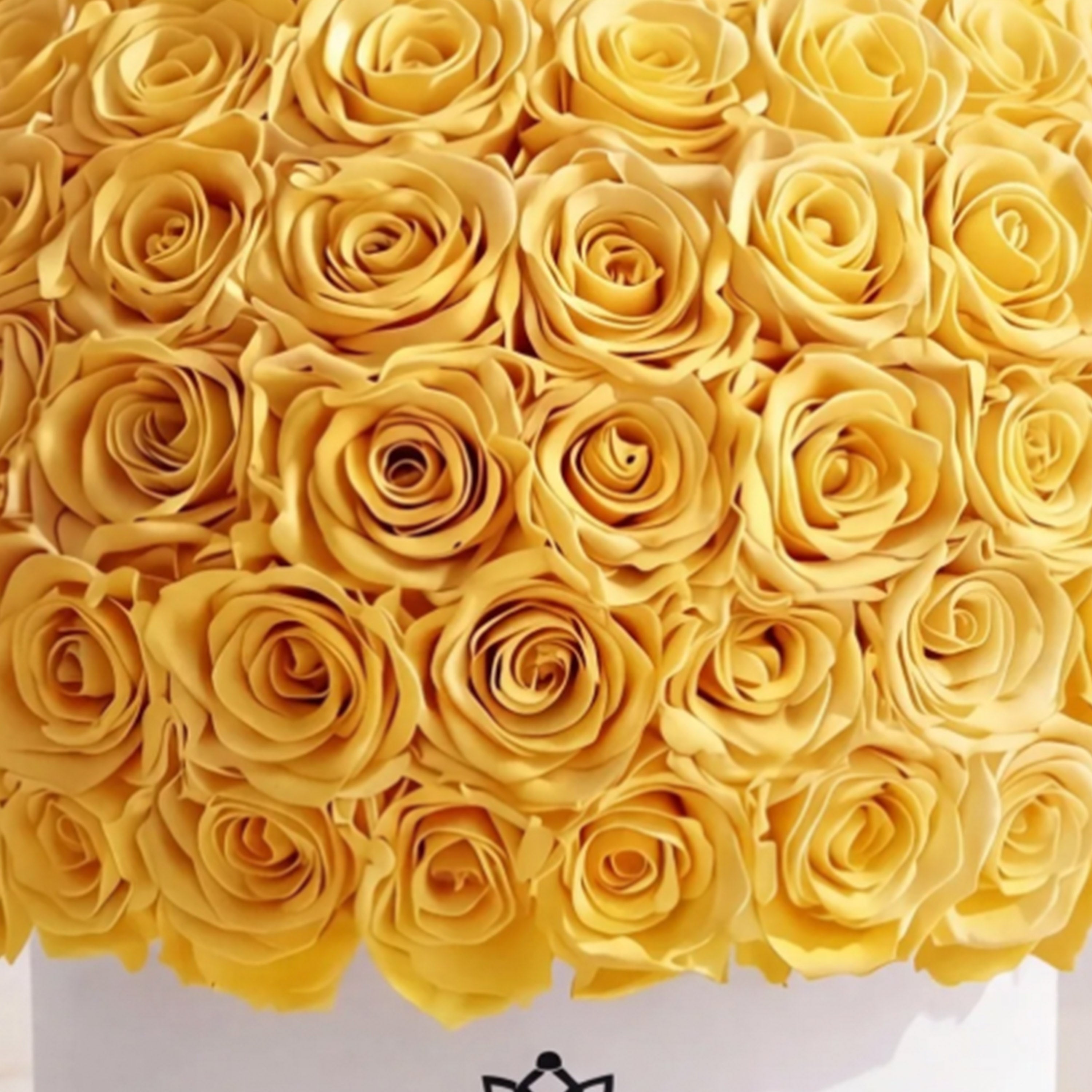 Supreme White Superdome Box | Yellow Roses