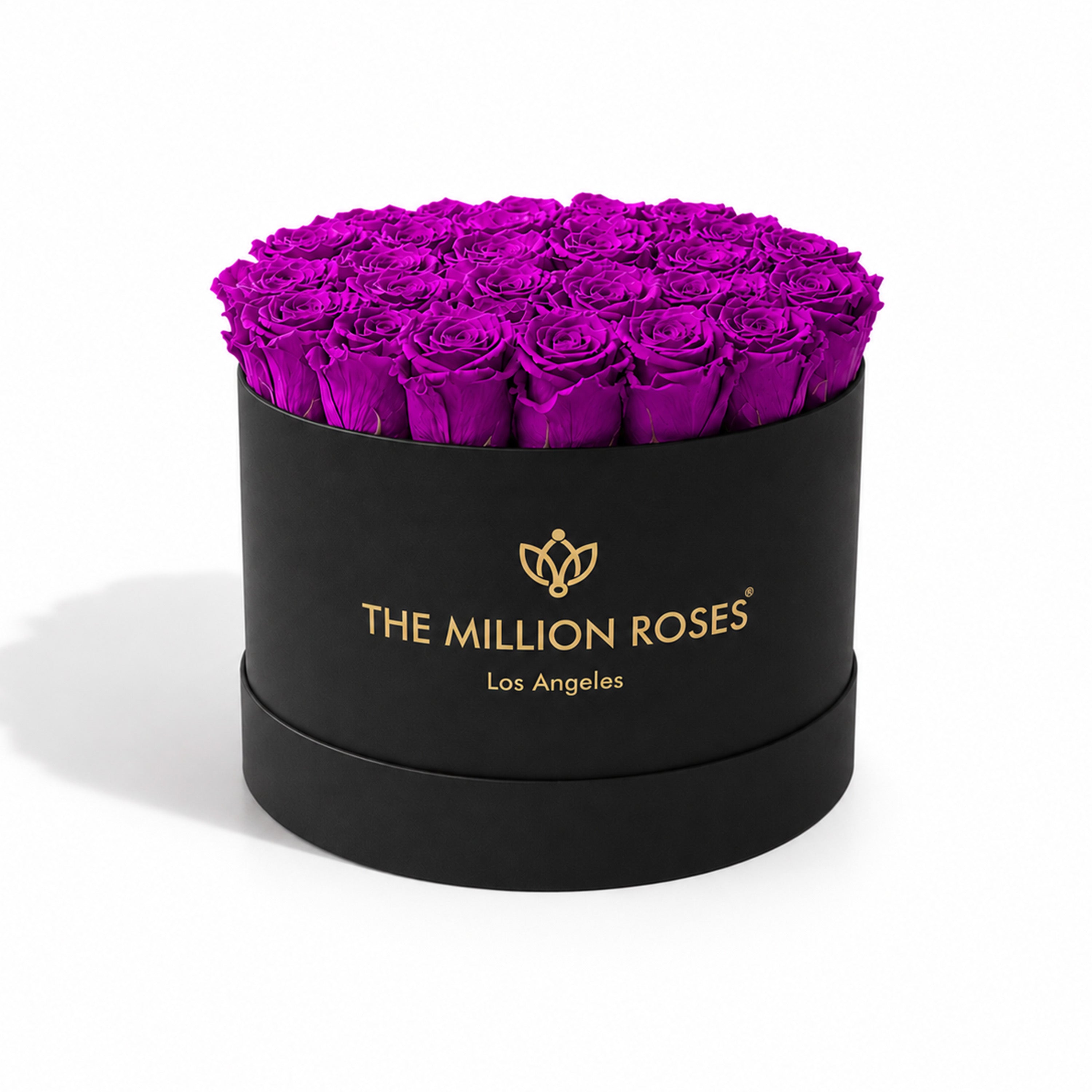 Supreme Black Box | Bright Purple Roses
