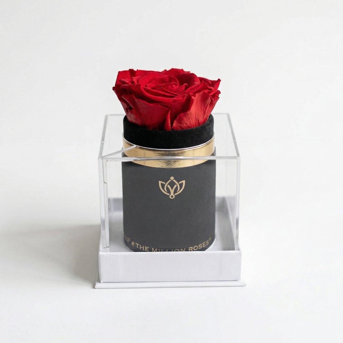 The Unlisted Edition | Black Suede | Signature Red Rose