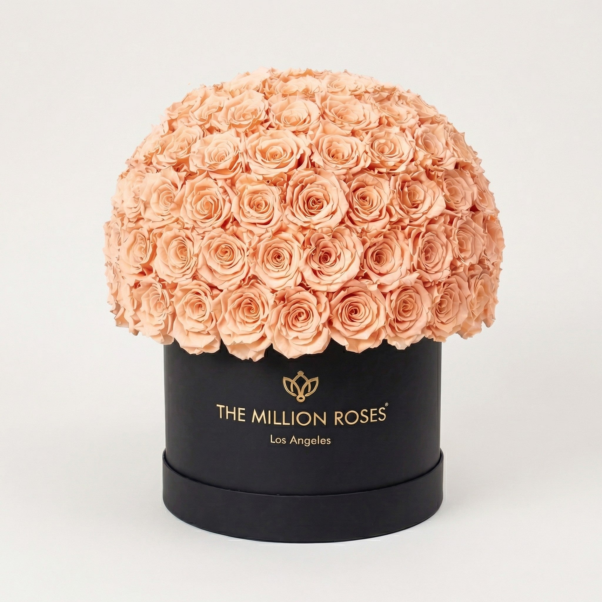 Supreme Black Superdome Box | Peach Roses