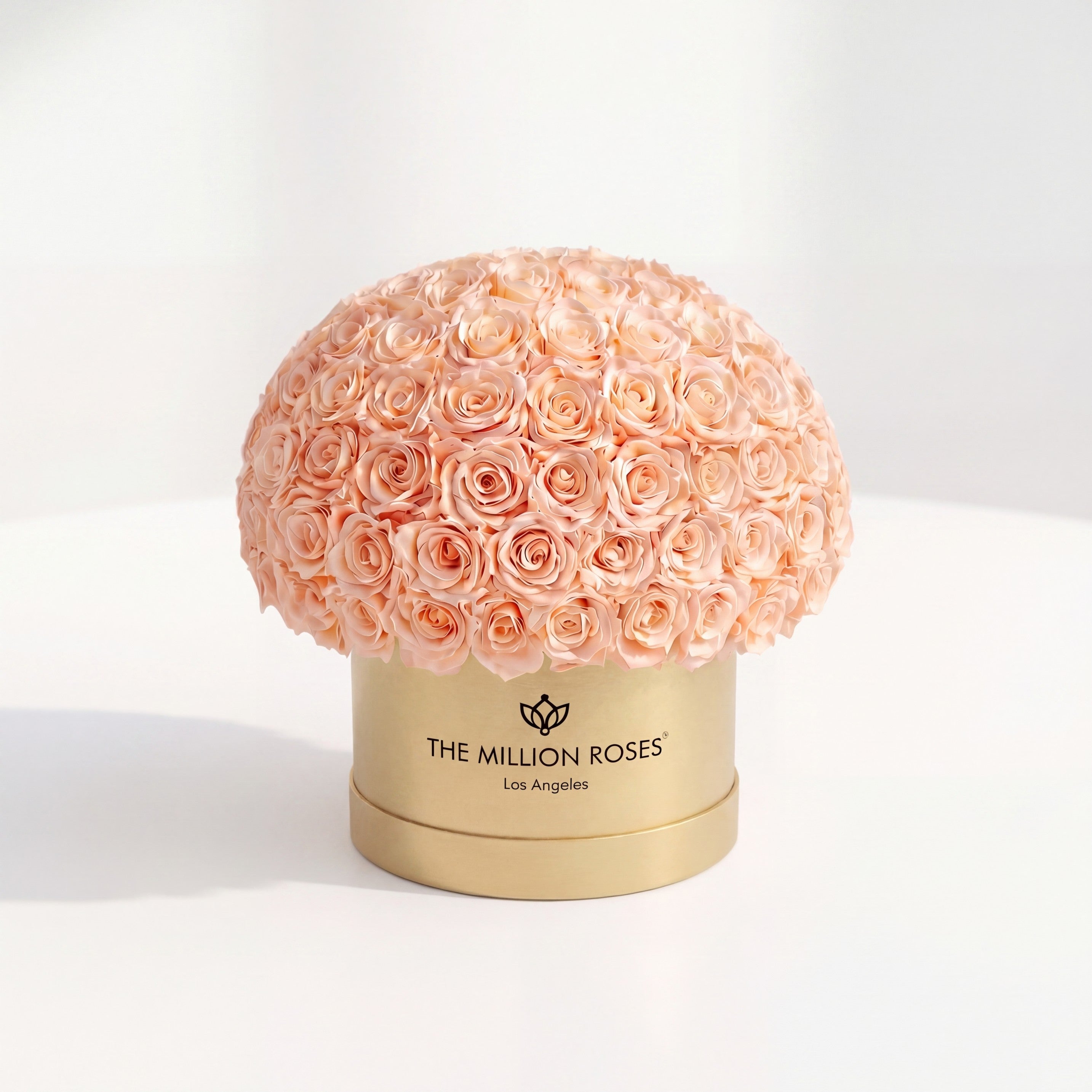 Supreme Gold Superdome Box | Peach Roses
