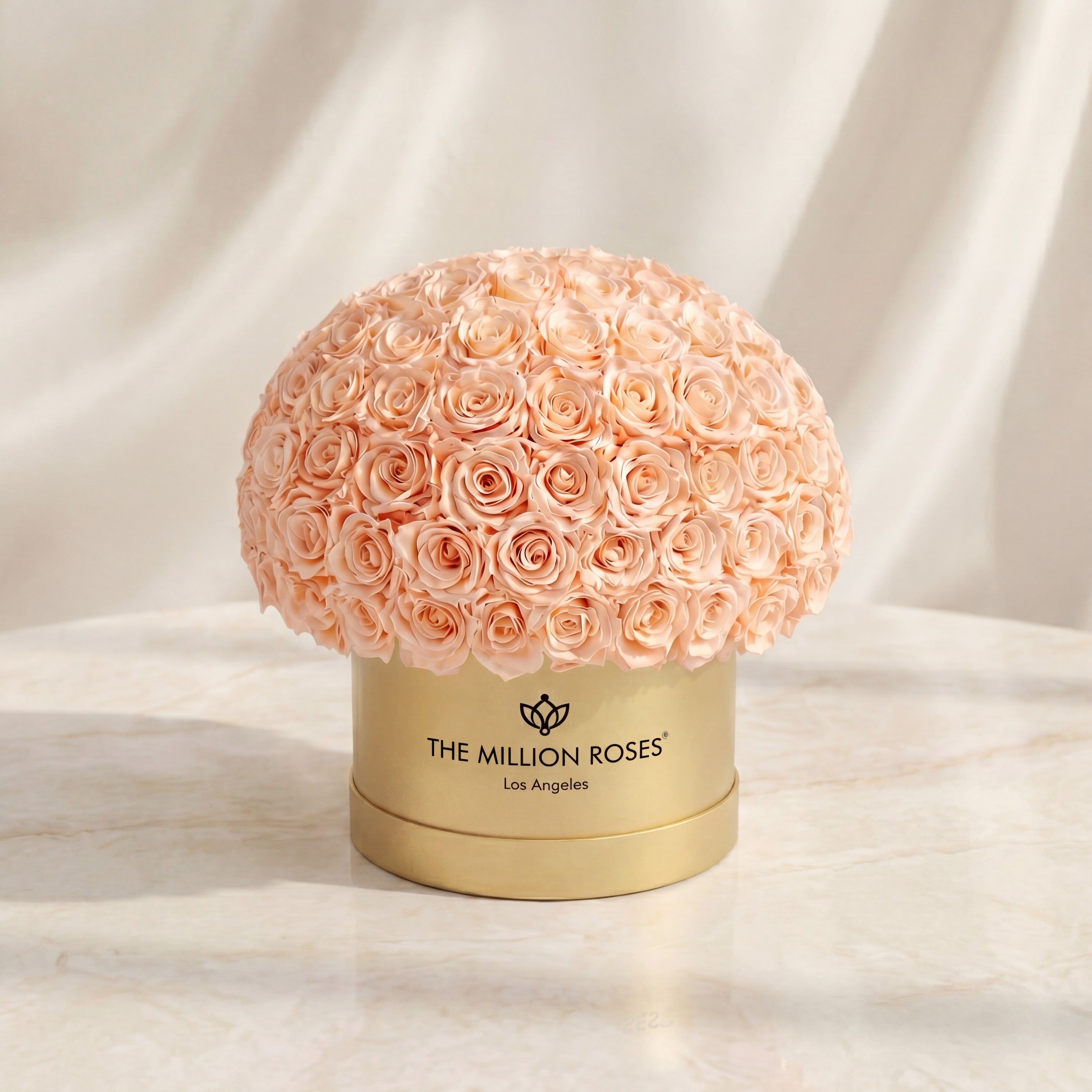 Supreme Gold Superdome Box | Peach Roses