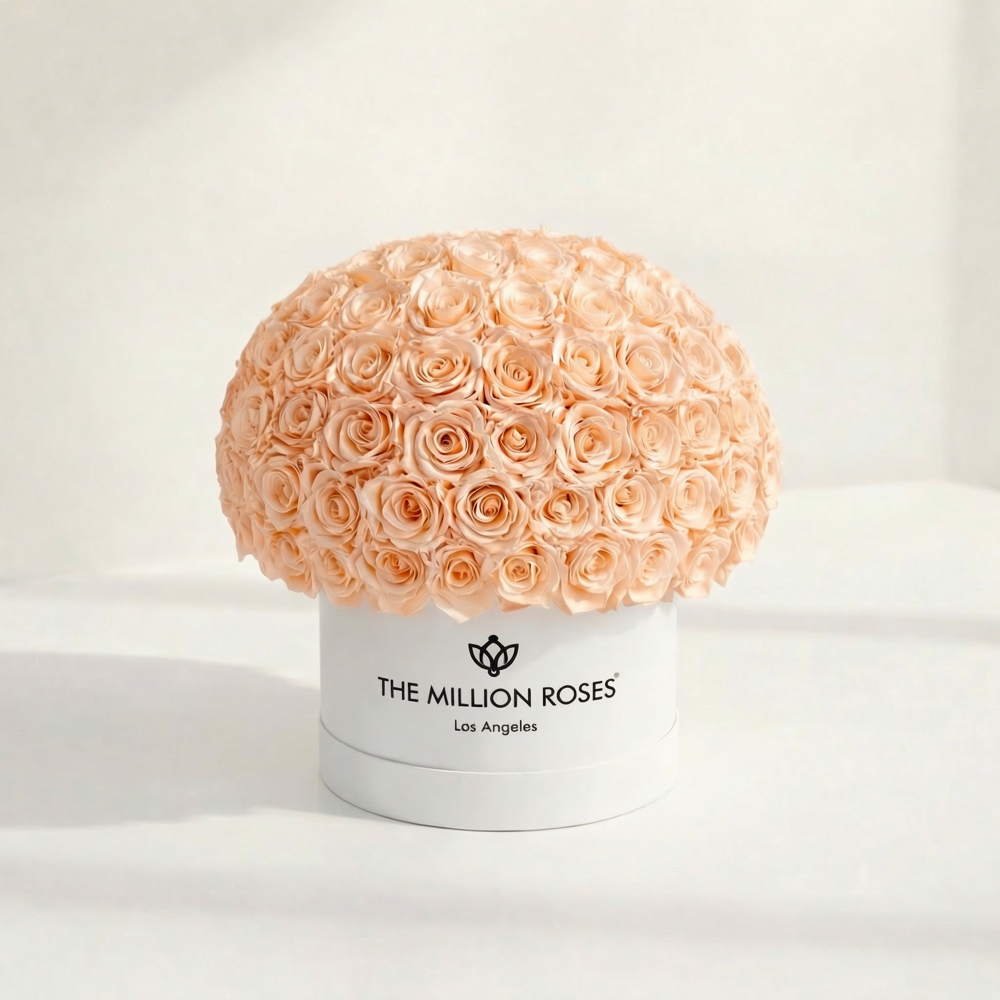 Supreme White Superdome Box | Peach Roses