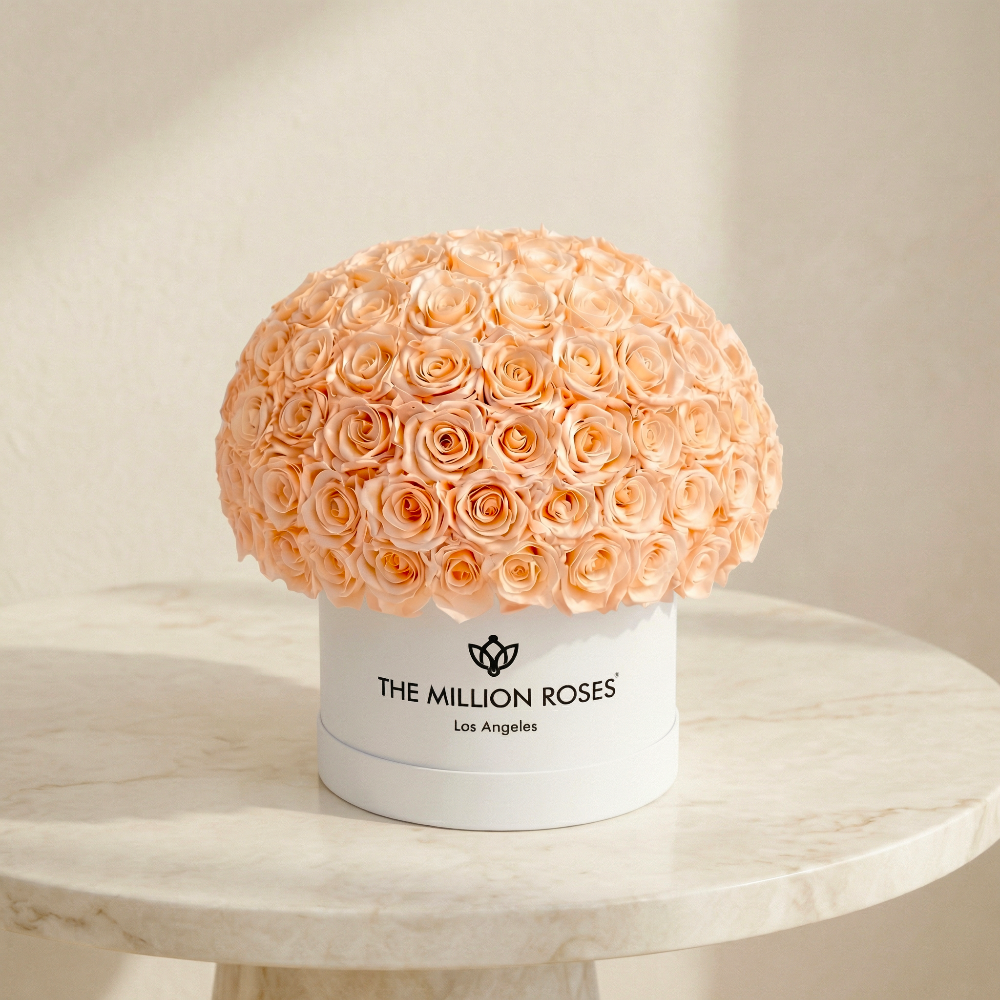 Supreme White Superdome Box | Peach Roses