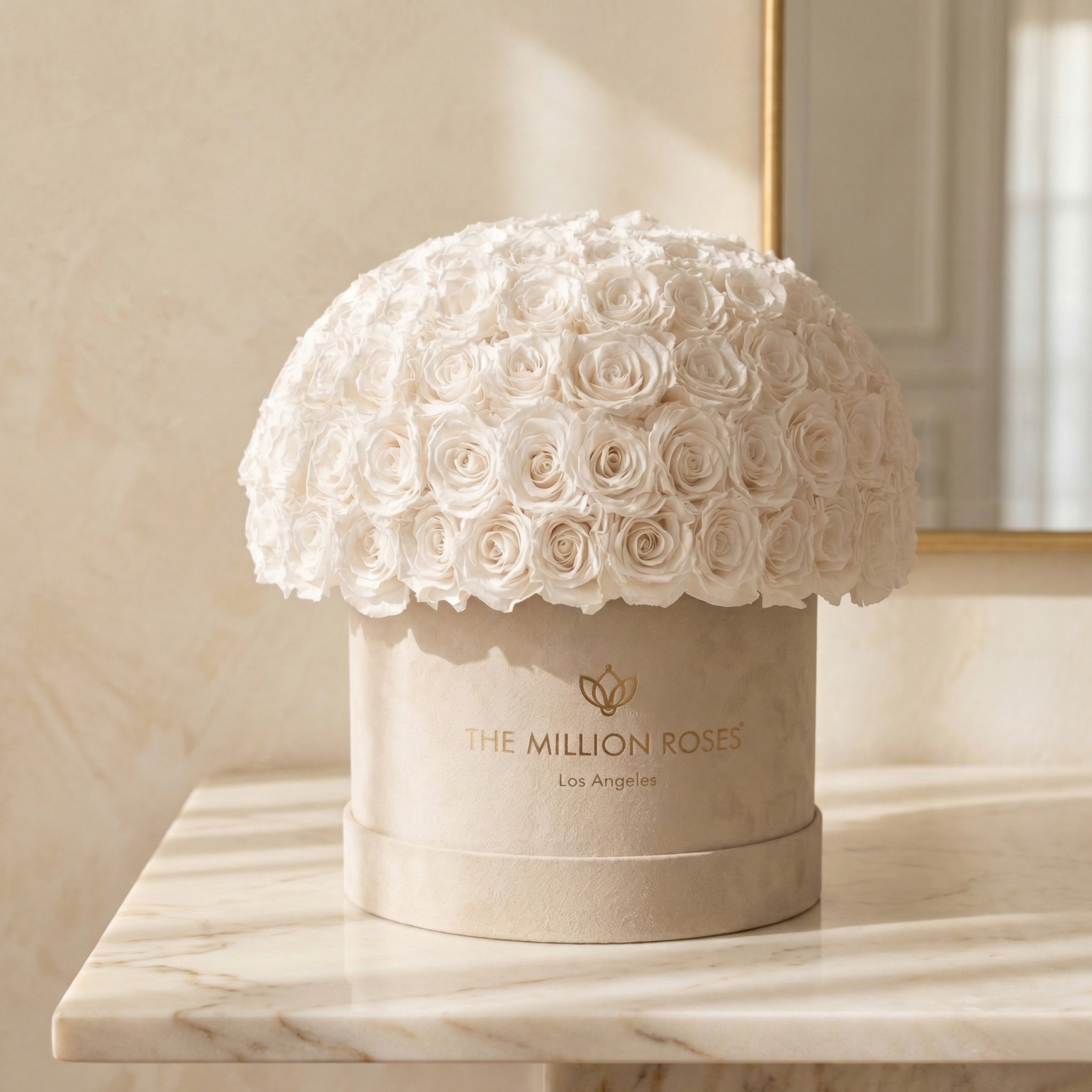 Supreme Beige Suede Superdome Box | White Roses