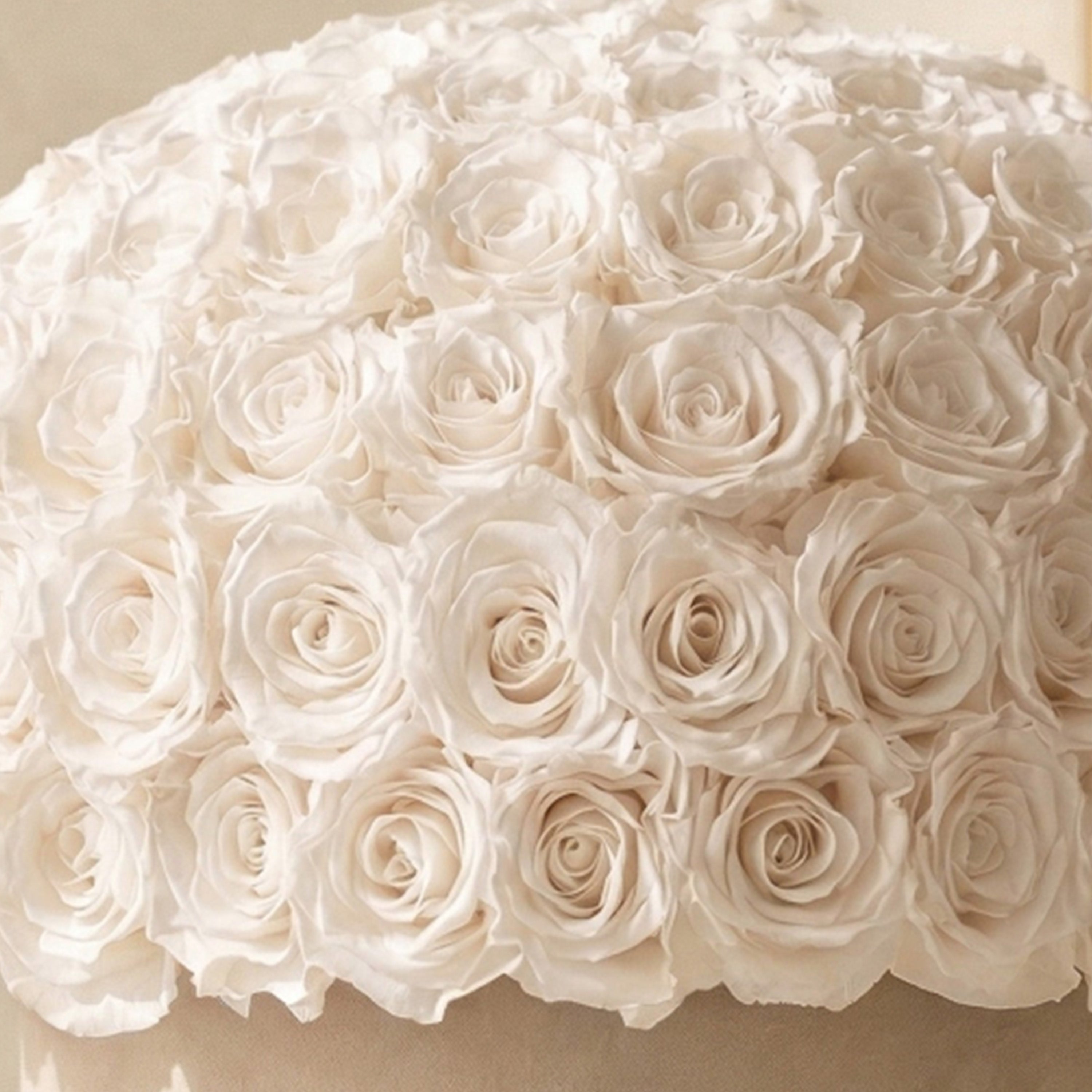 Supreme Beige Suede Superdome Box | White Roses