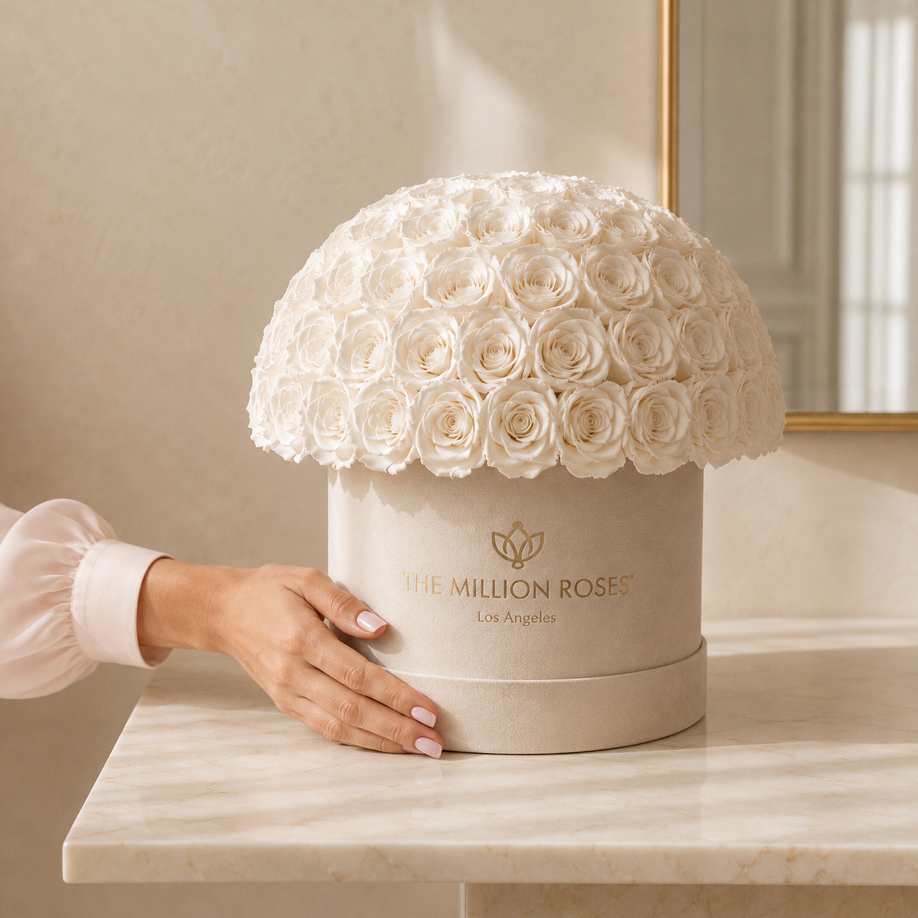 Supreme Beige Suede Superdome Box | White Roses
