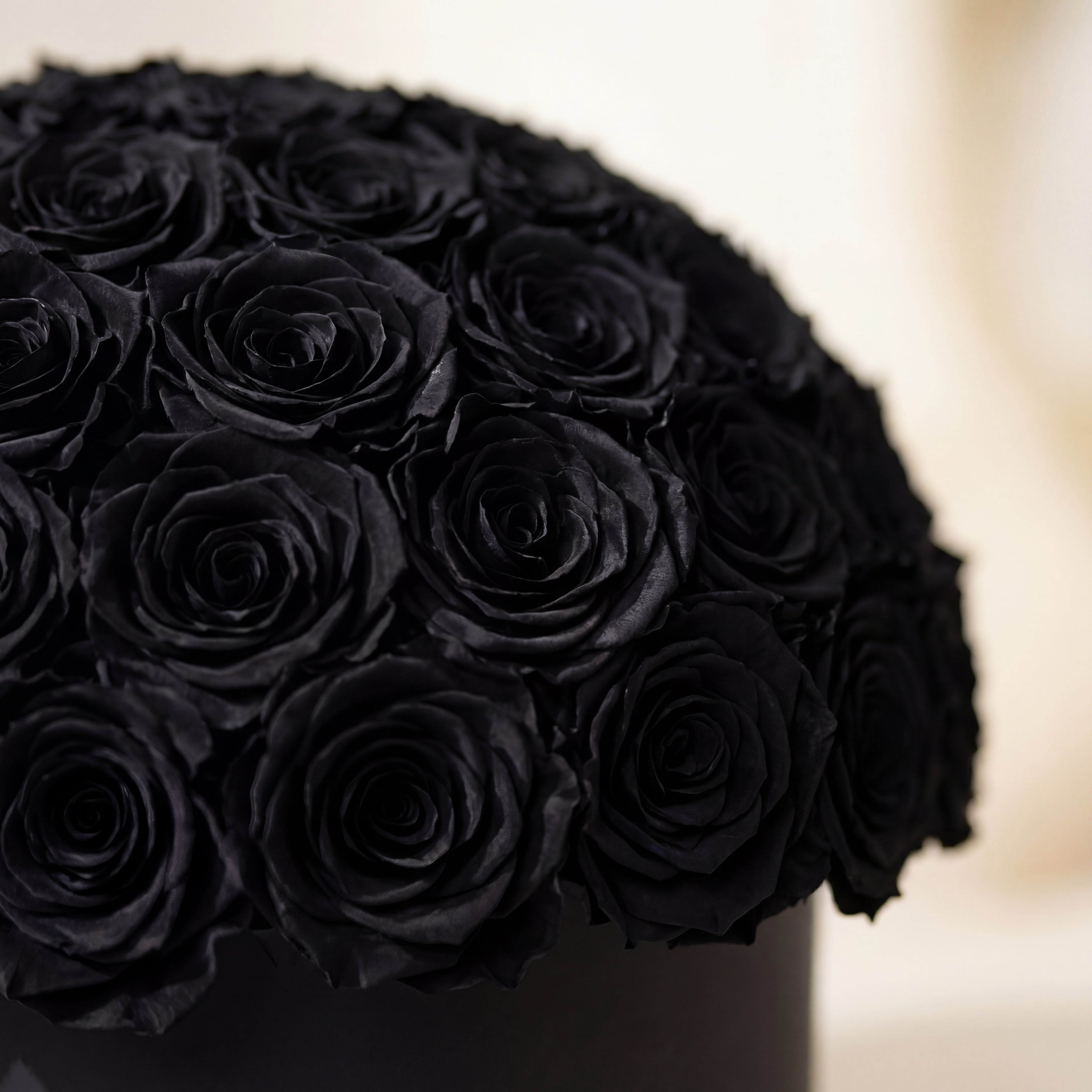 Supreme Black Superdome Box | Black Roses