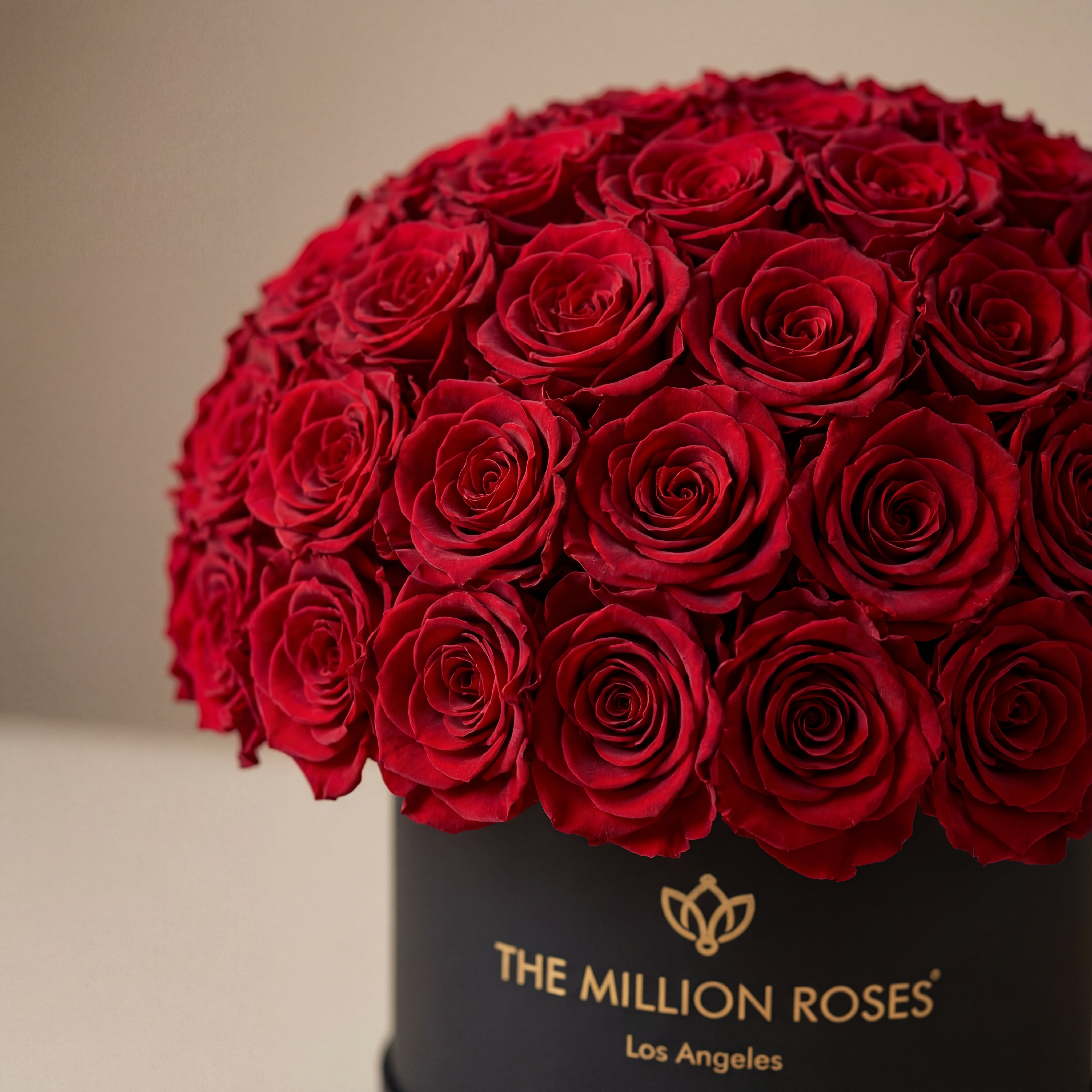 Supreme Black Superdome Box | Red Roses