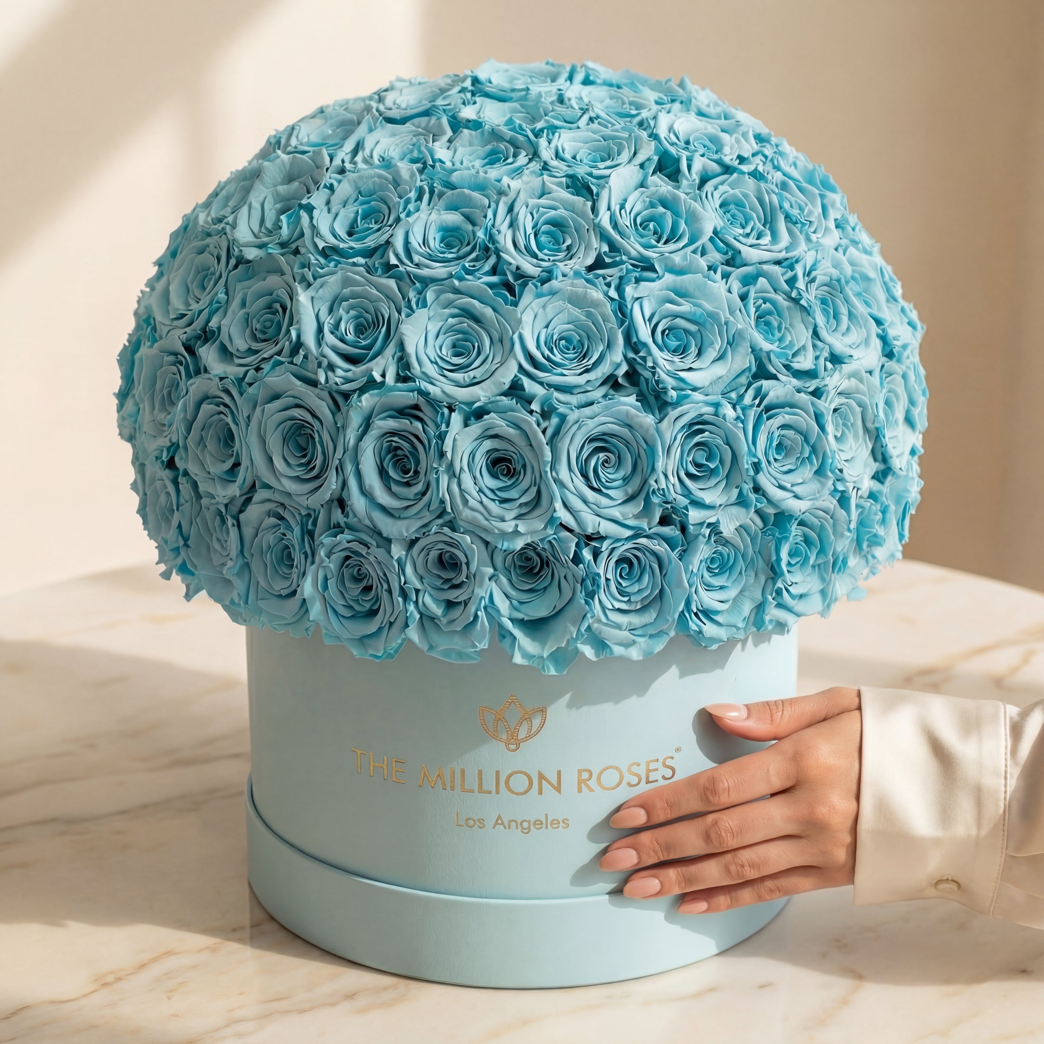 Supreme Mint Green Suede Superdome Box | Turquoise Blue Roses