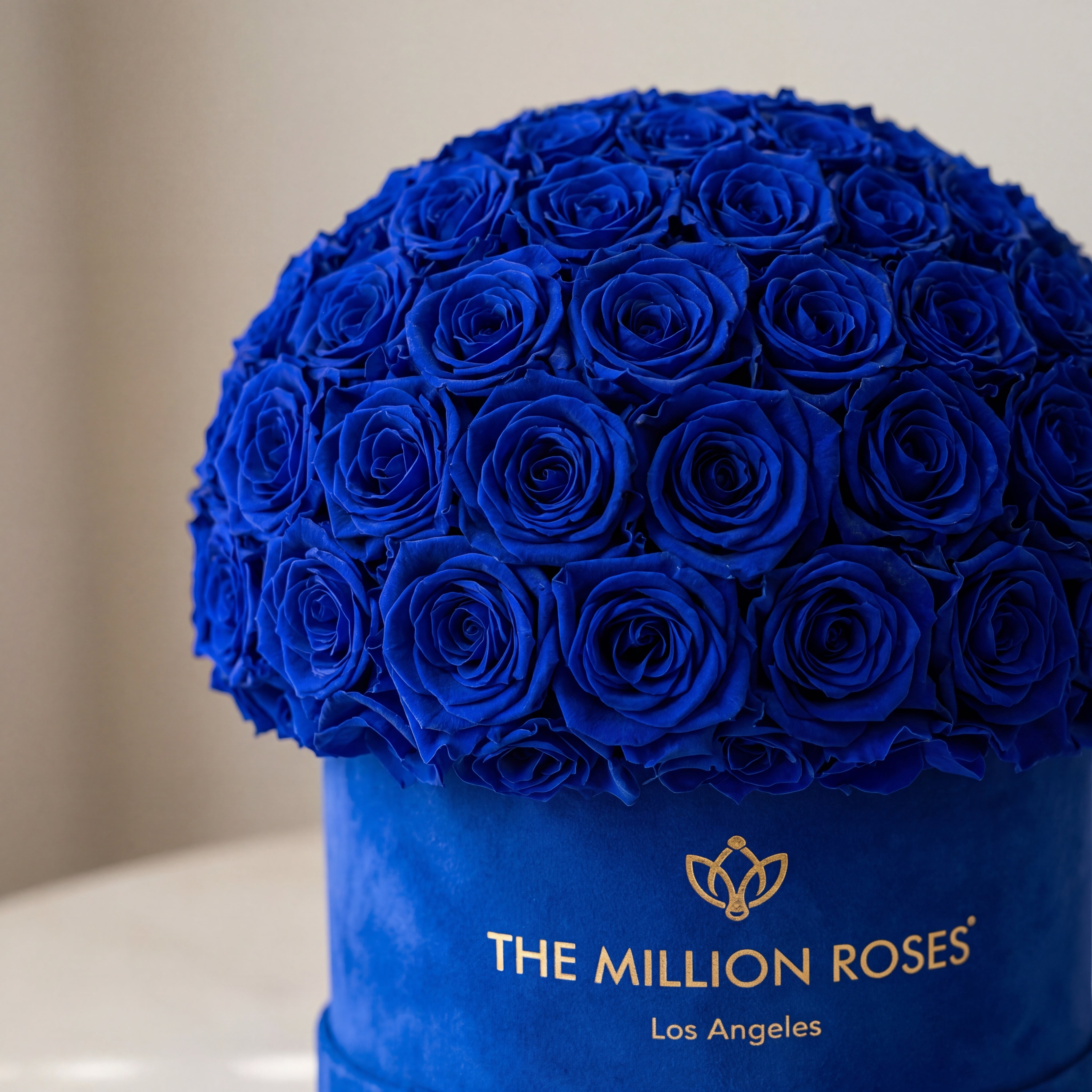 Supreme Royal Blue Suede Superdome Box | Royal Blue Roses