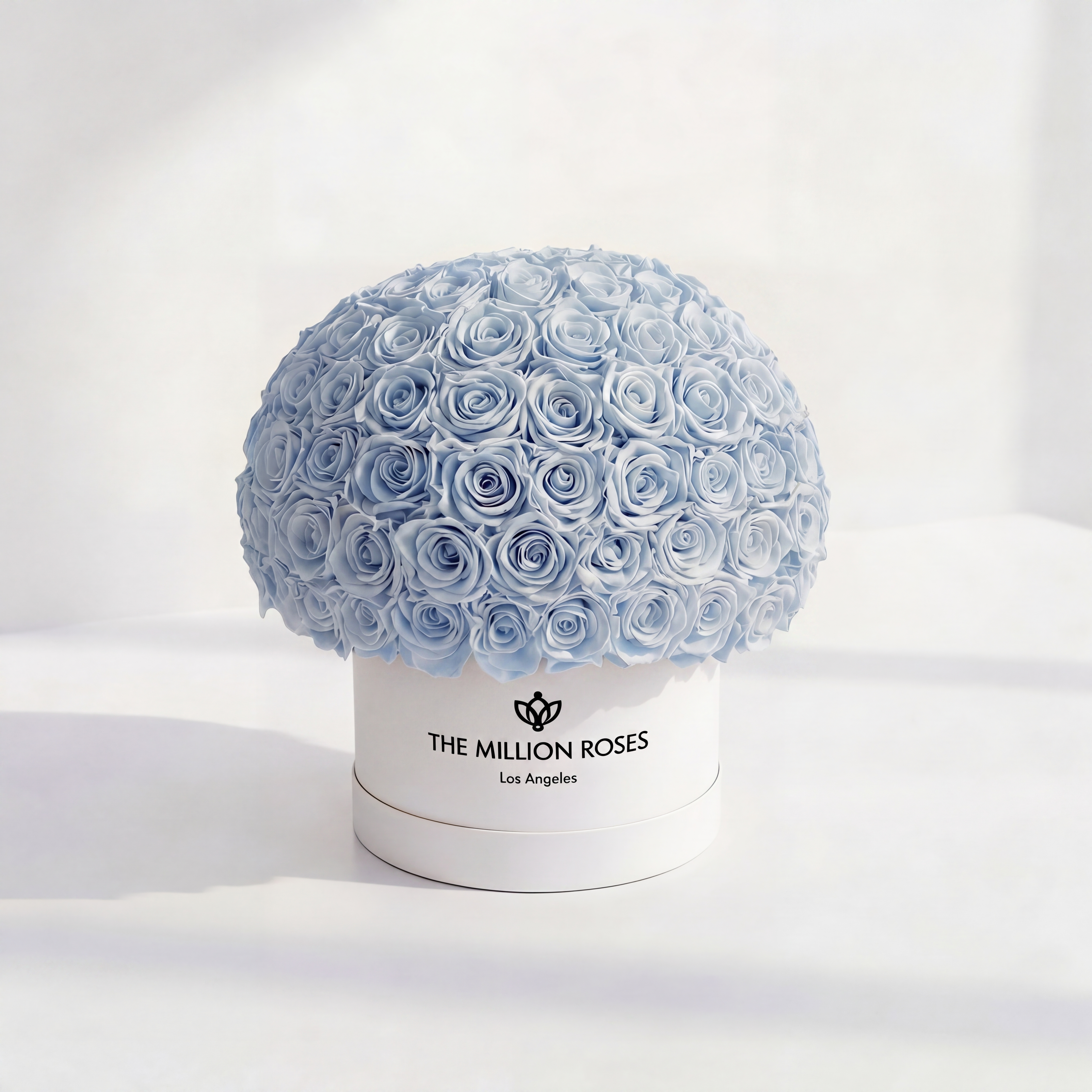 Supreme White Superdome Box | Light Blue Roses
