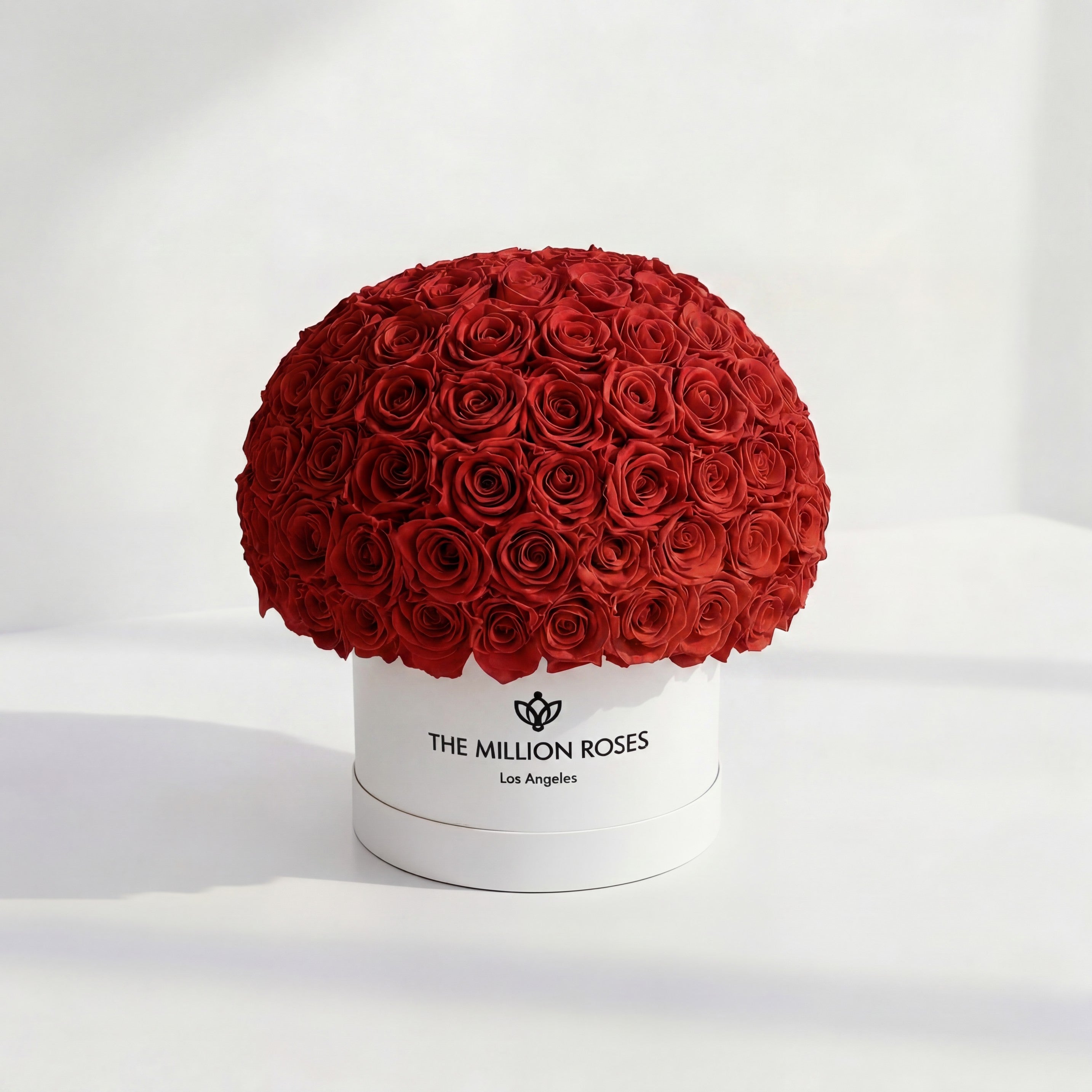 Supreme White Superdome Box | Red Roses