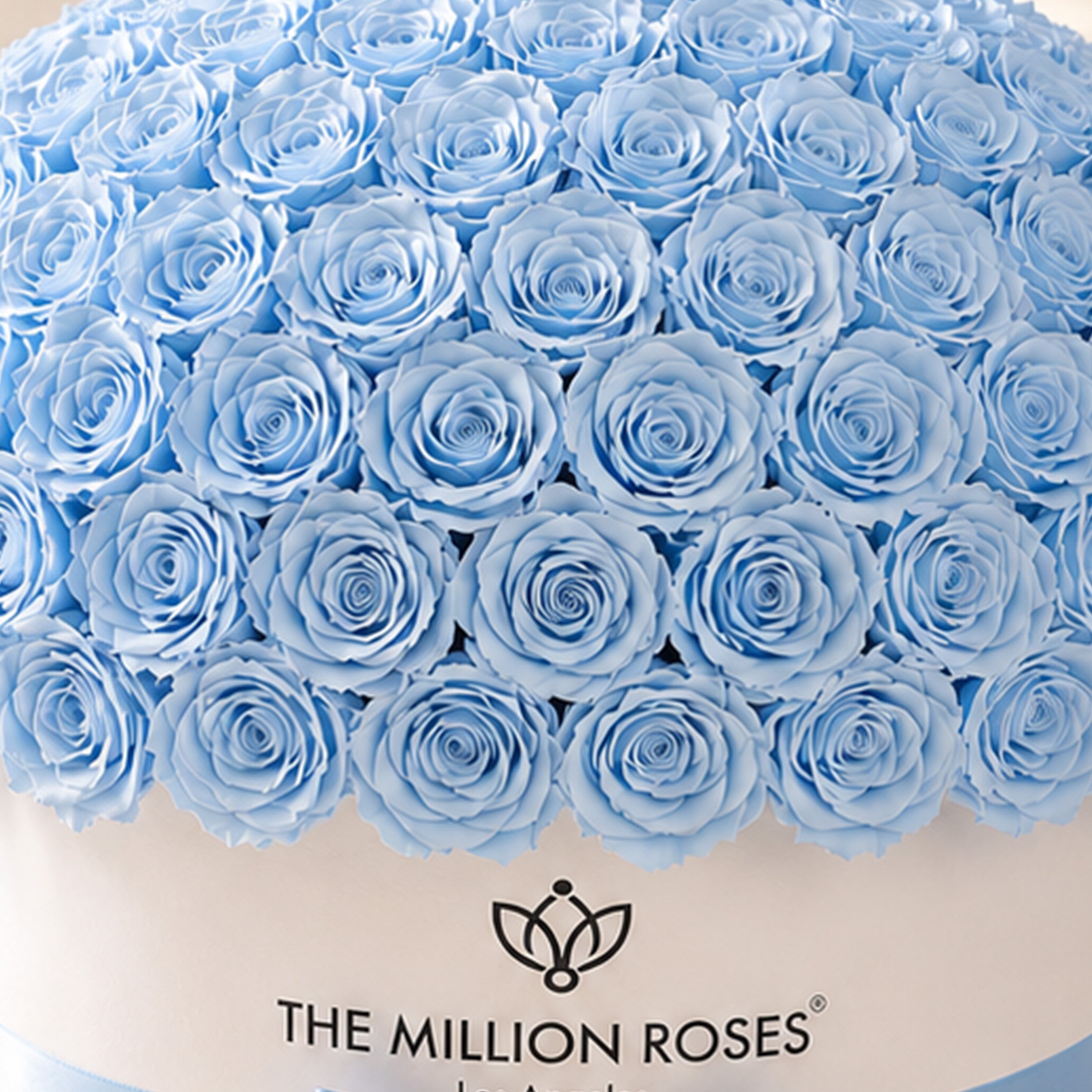 Deluxe White Dome Box | Light Blue Roses