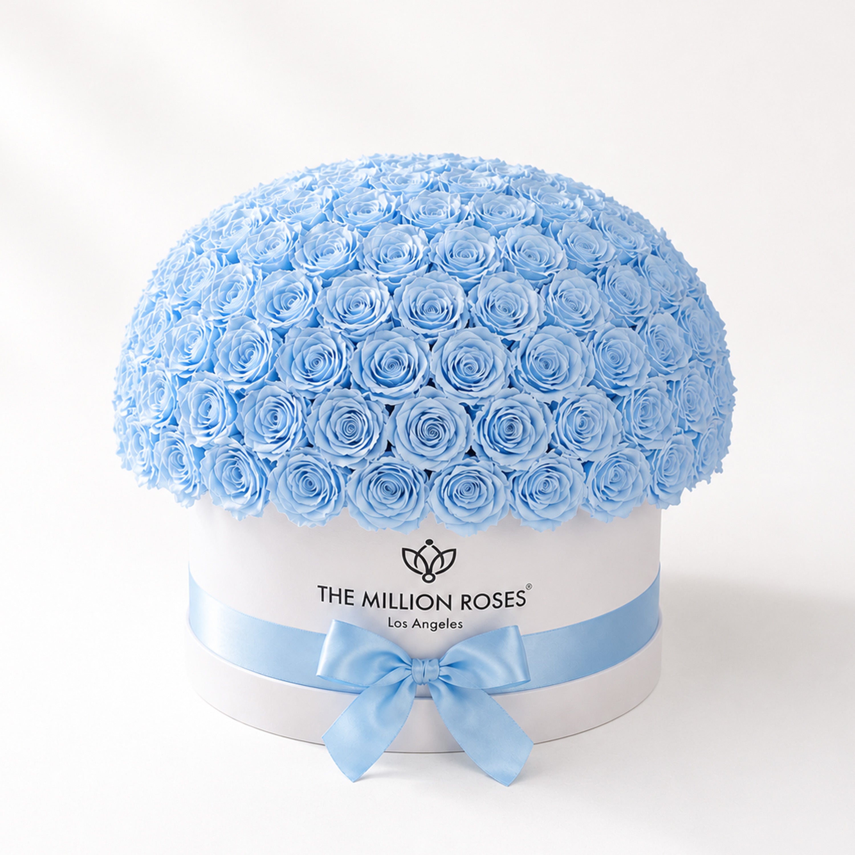 Deluxe White Dome Box | Light Blue Roses