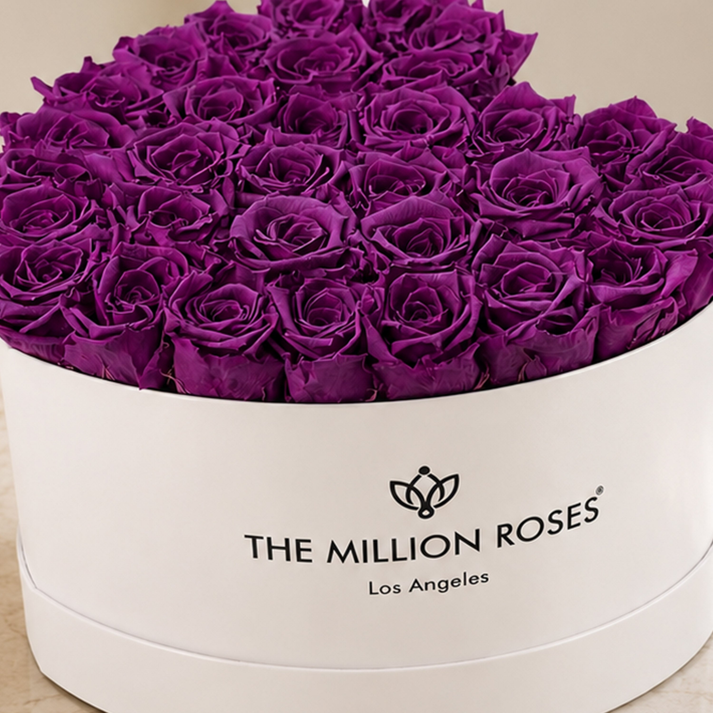 Heart White Box | Bright Purple Roses