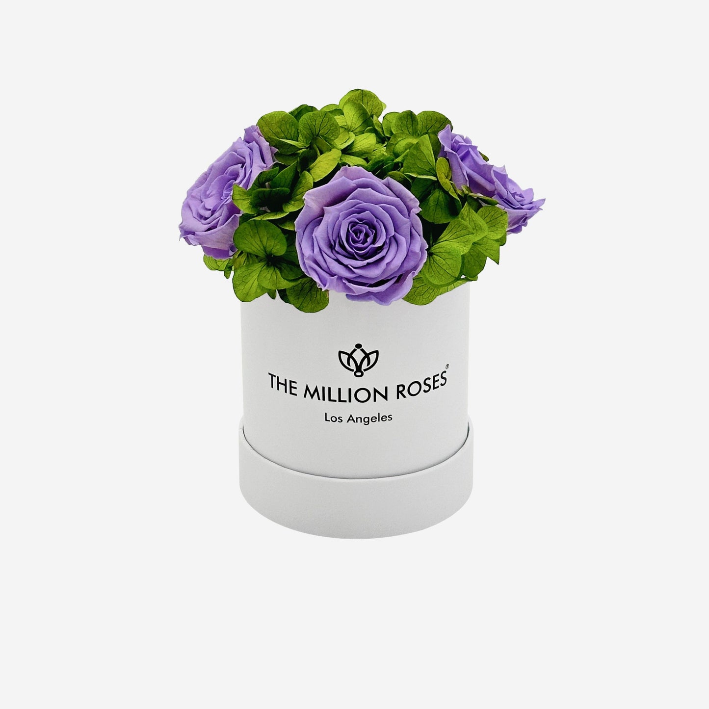 Basic White Garden Box | Lavender Roses