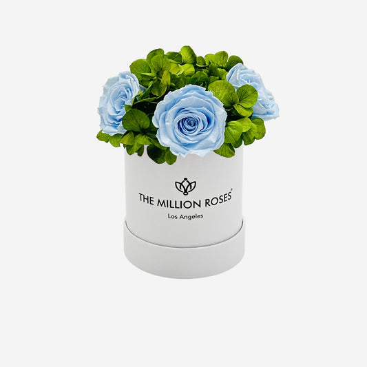 Basic White Garden Box | Light Blue Roses